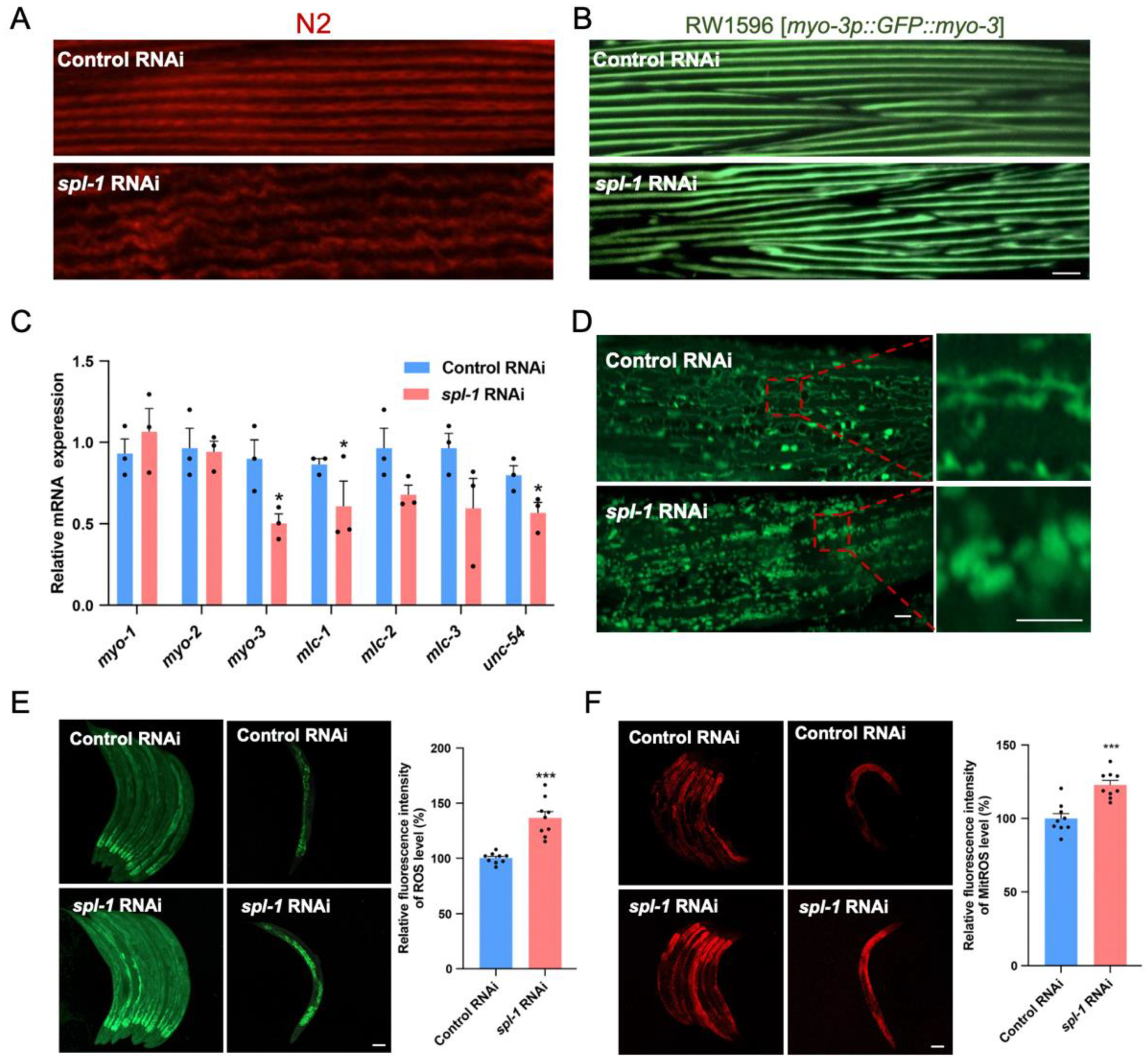 Nutrients 16 01623 g003