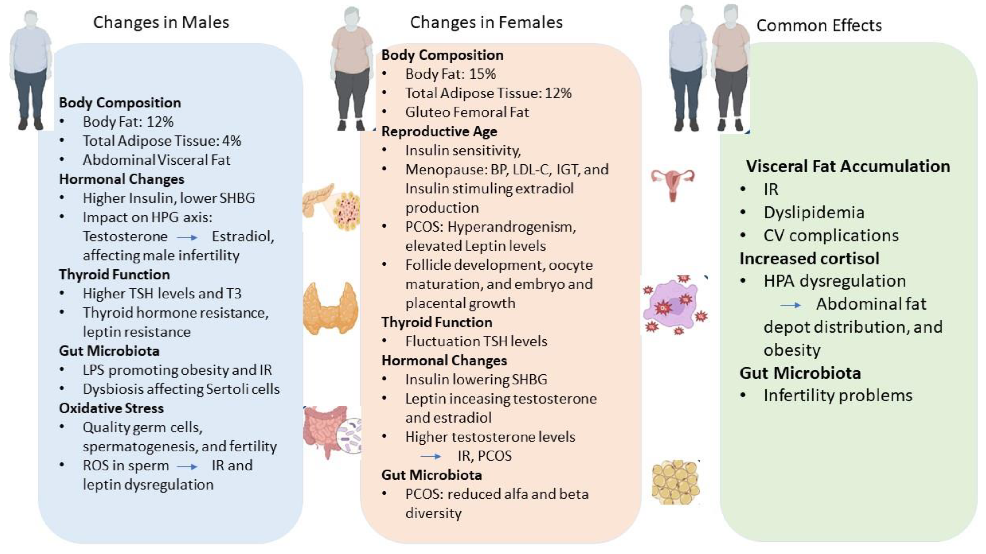 Nutrients 16 01629 g001 Nutrients 16 01629 g001