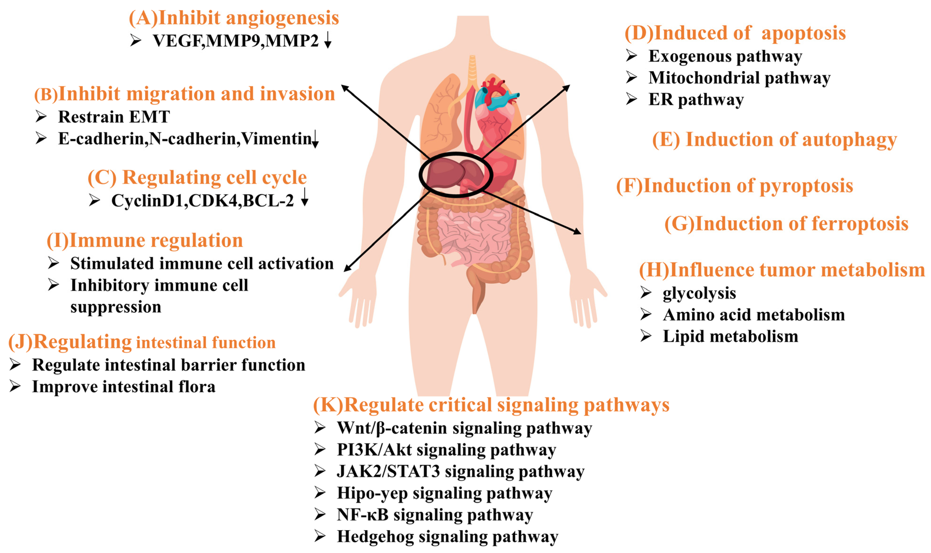 Nutrients 16 01642 g002