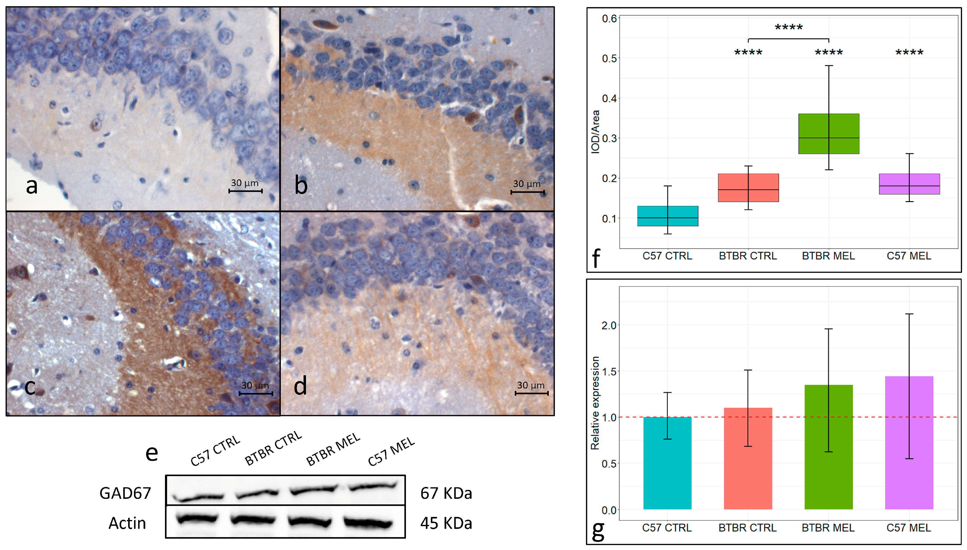 Nutrients 16 01652 g005