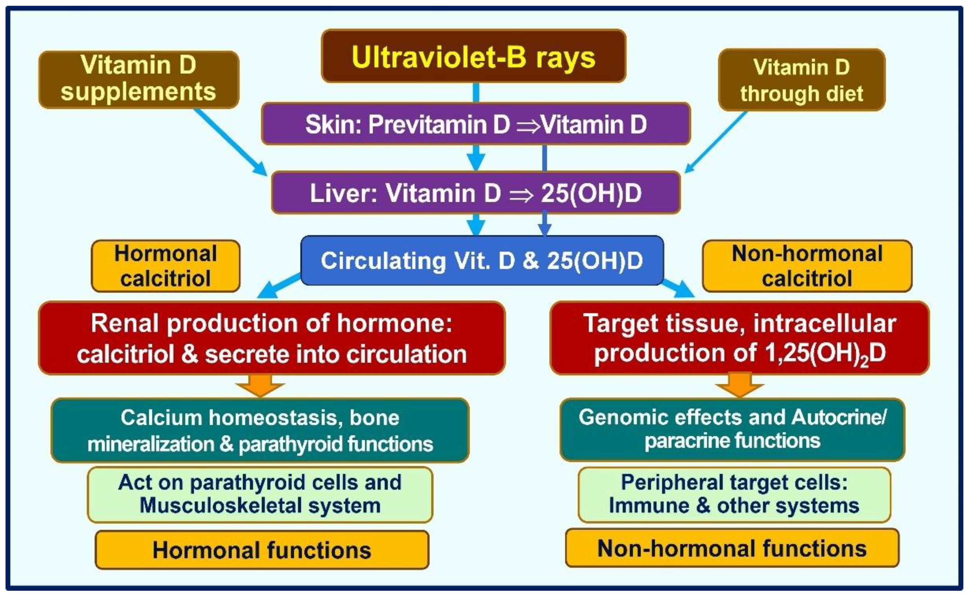 Nutrients 16 01666 g002