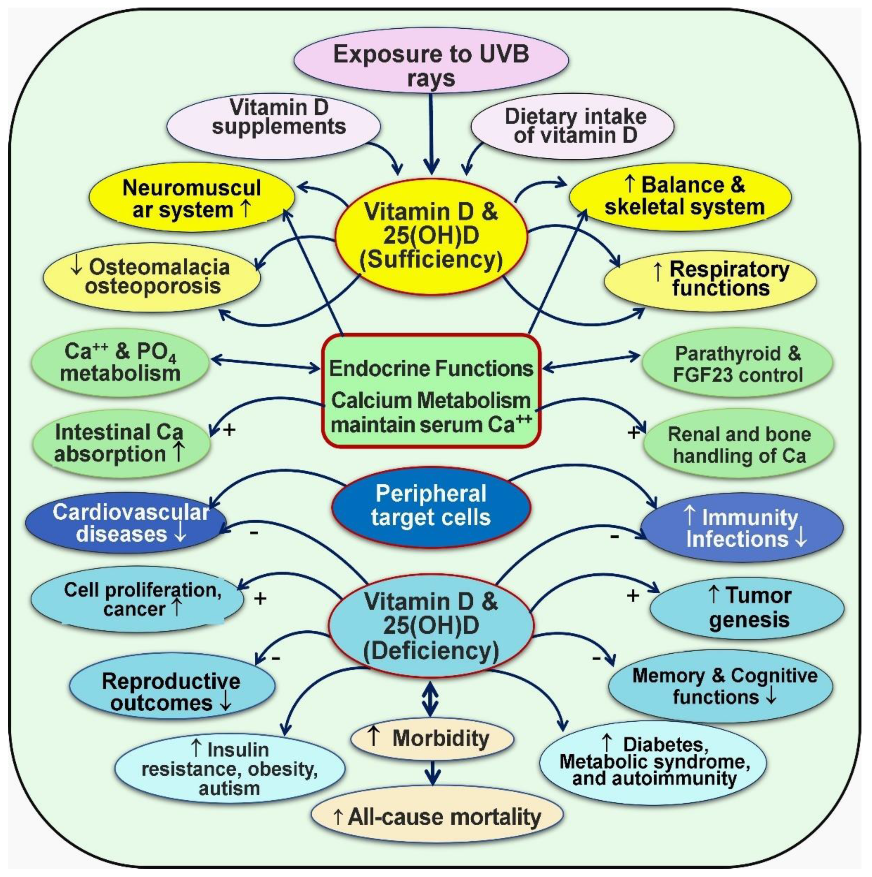 Nutrients 16 01666 g005