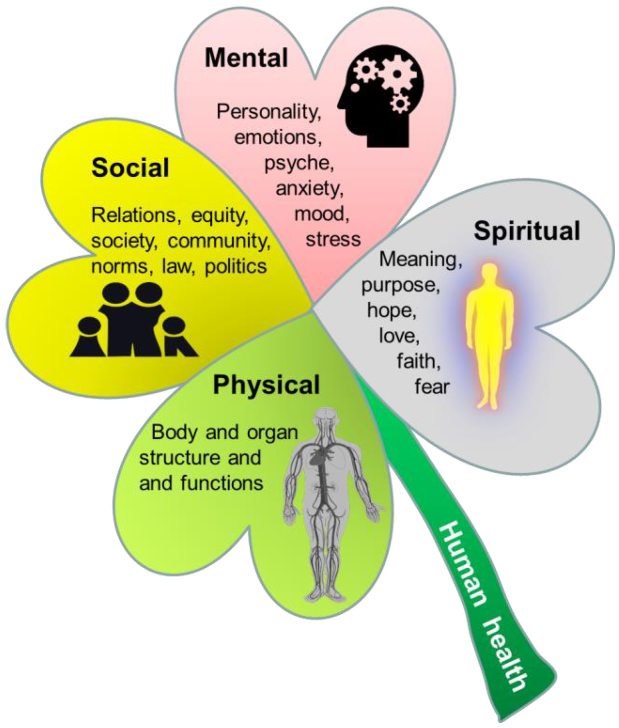Nutrients 16 01676 g004