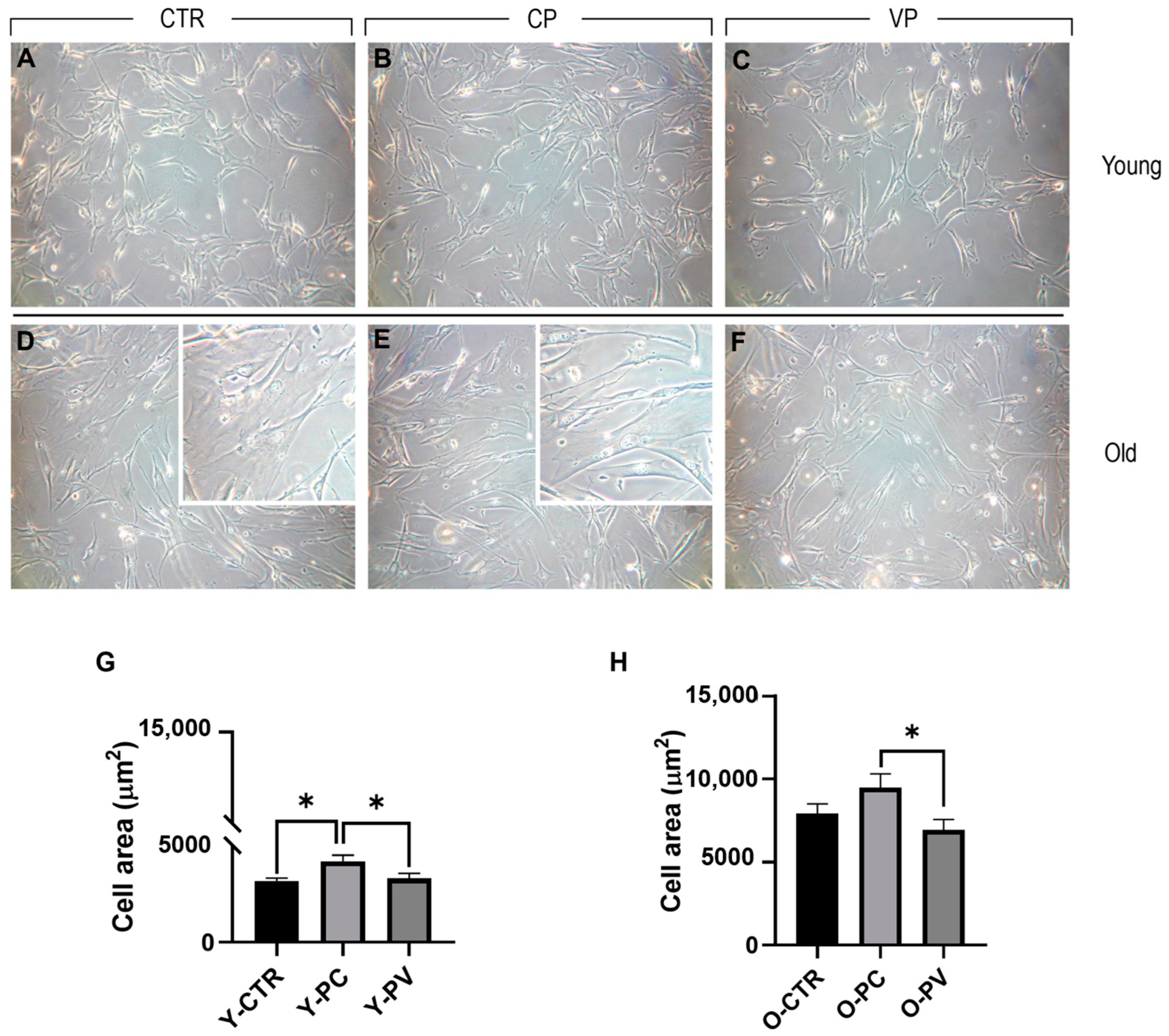 Nutrients 16 01681 g002