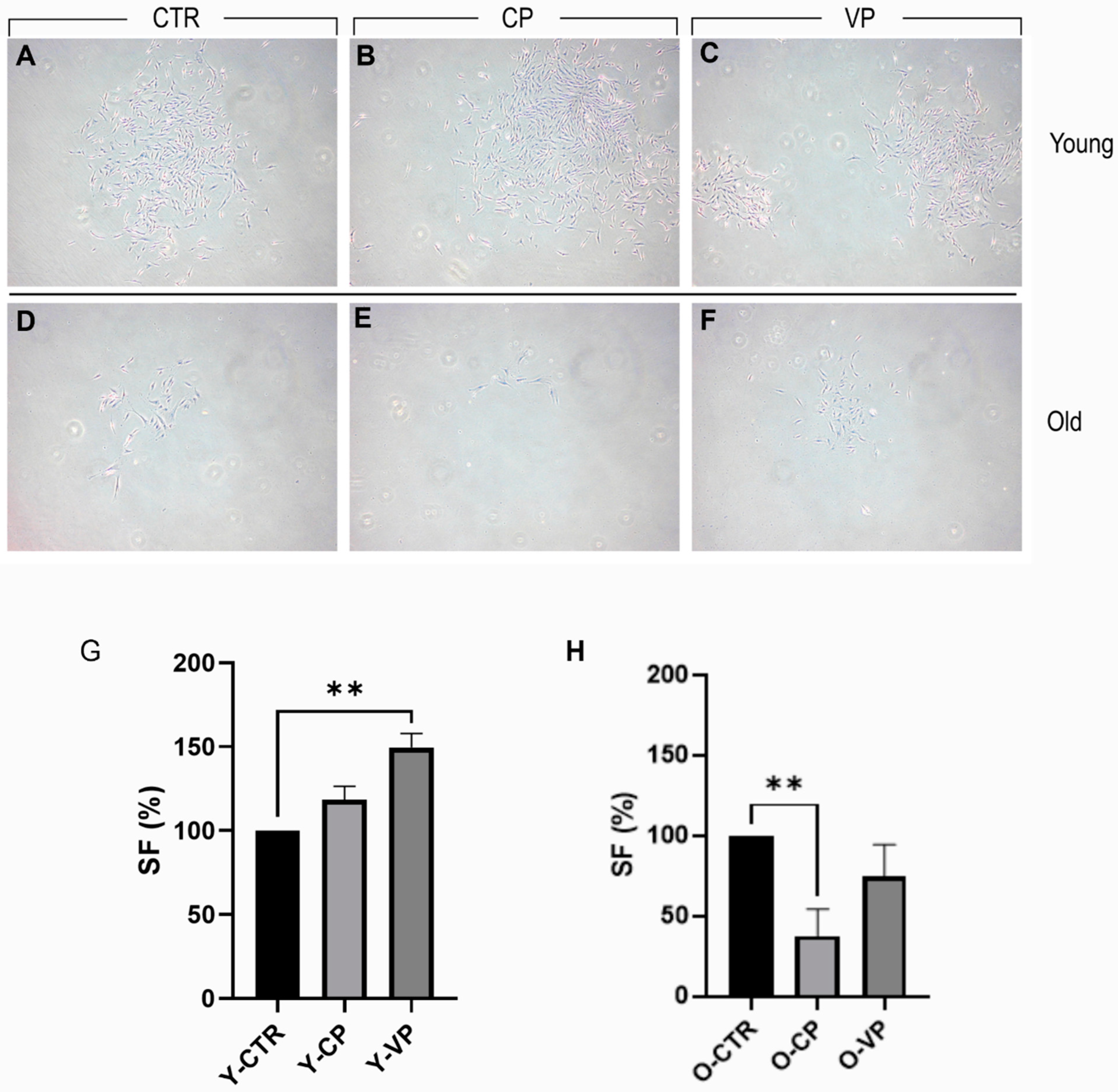 Nutrients 16 01681 g003