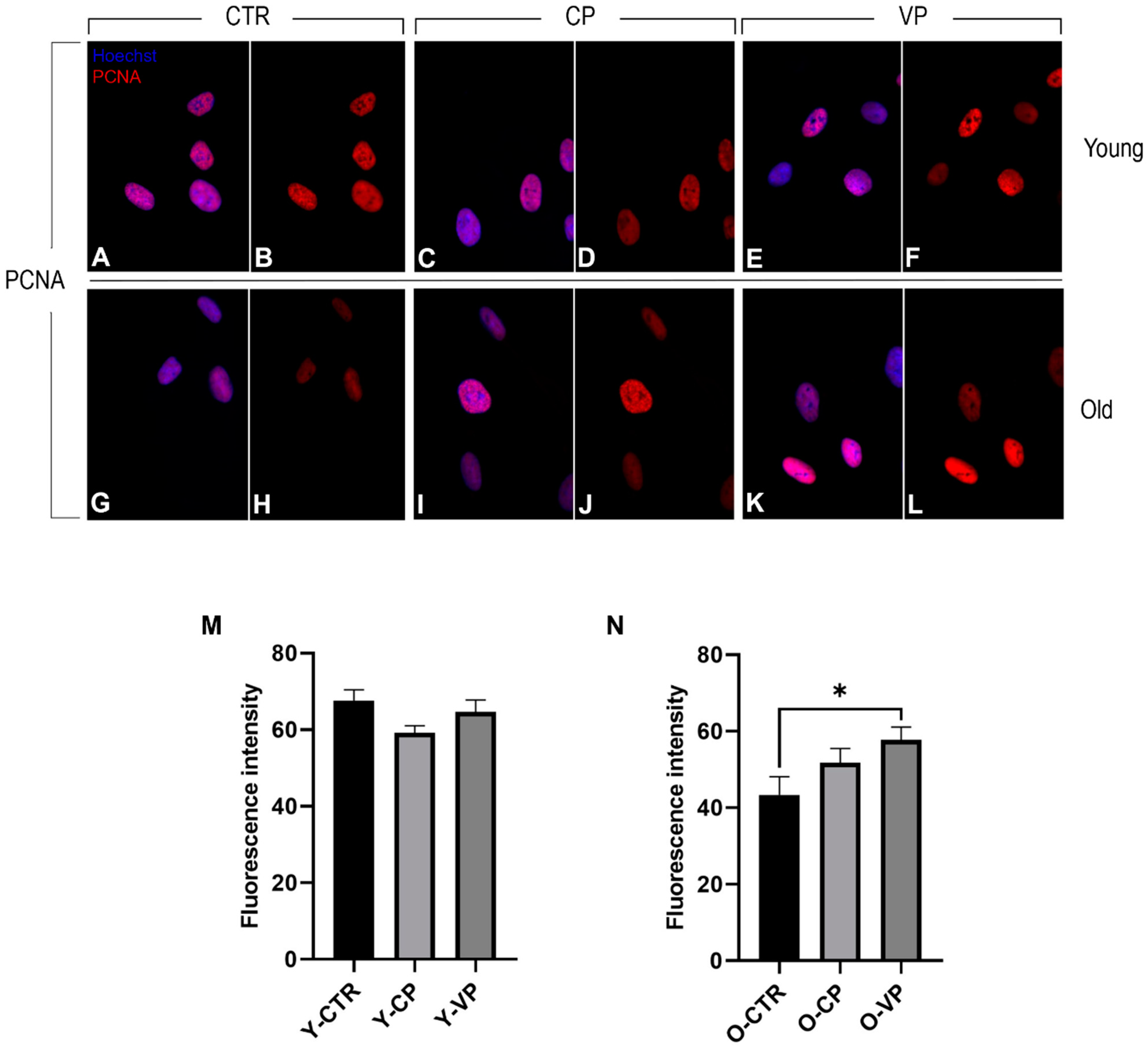 Nutrients 16 01681 g008