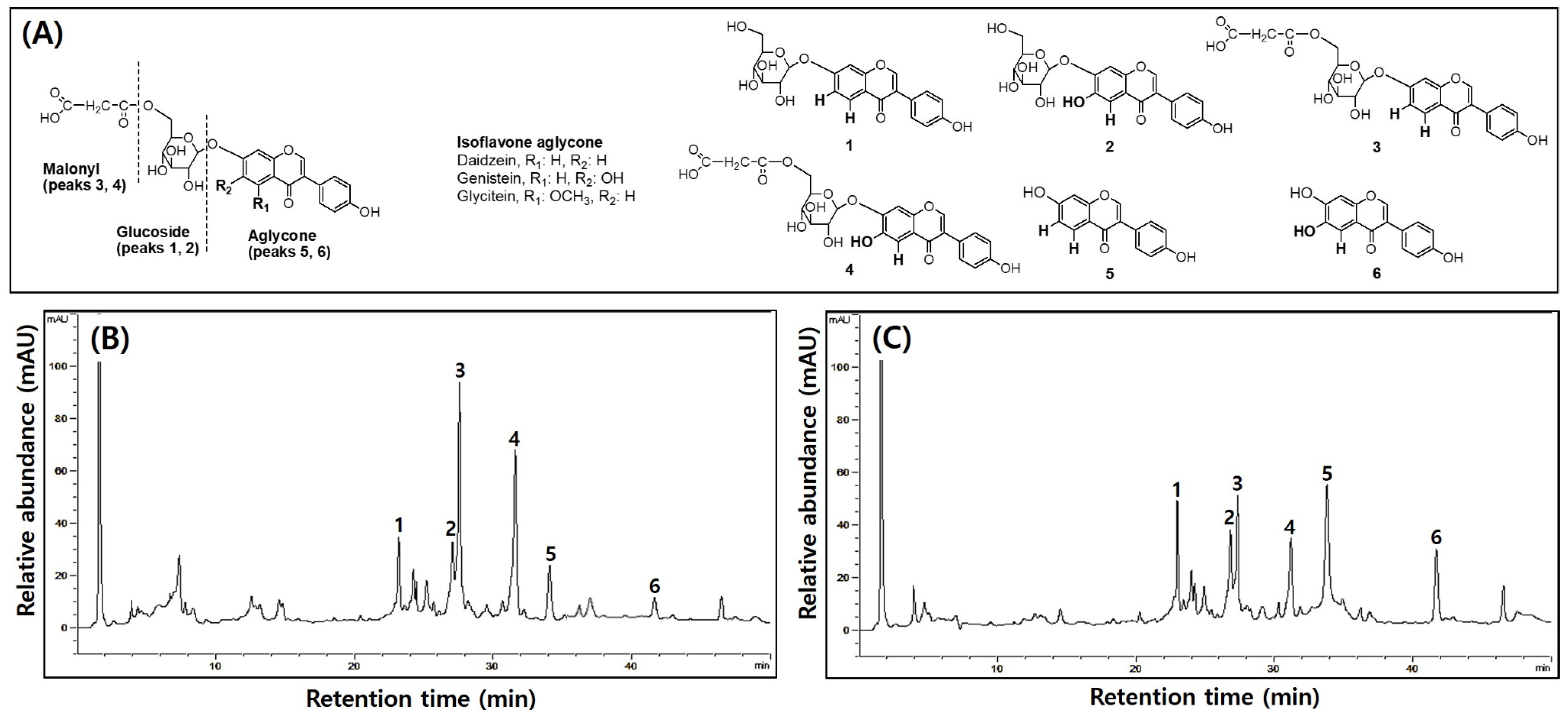 Nutrients 16 01693 g001