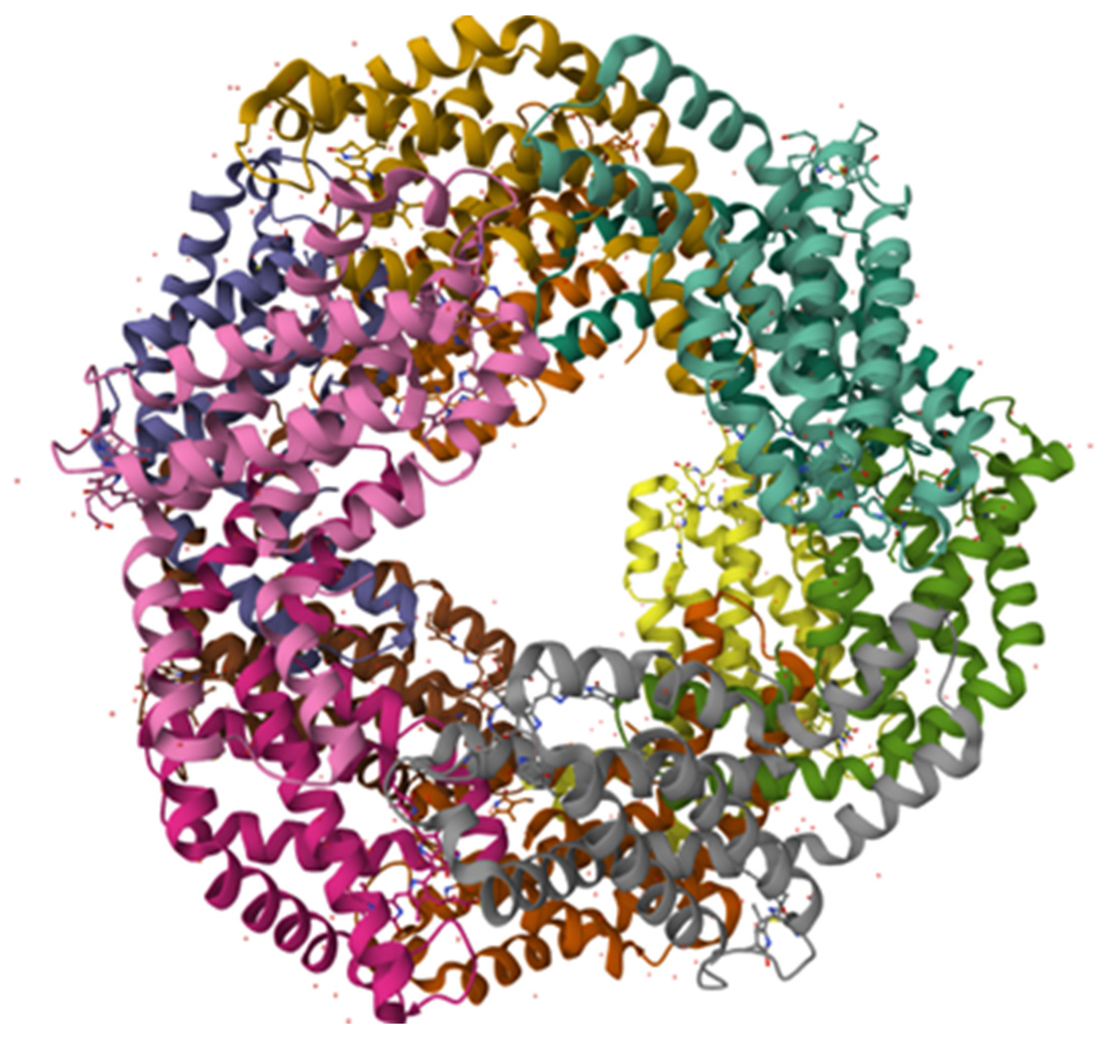 Nutrients 16 01752 g001