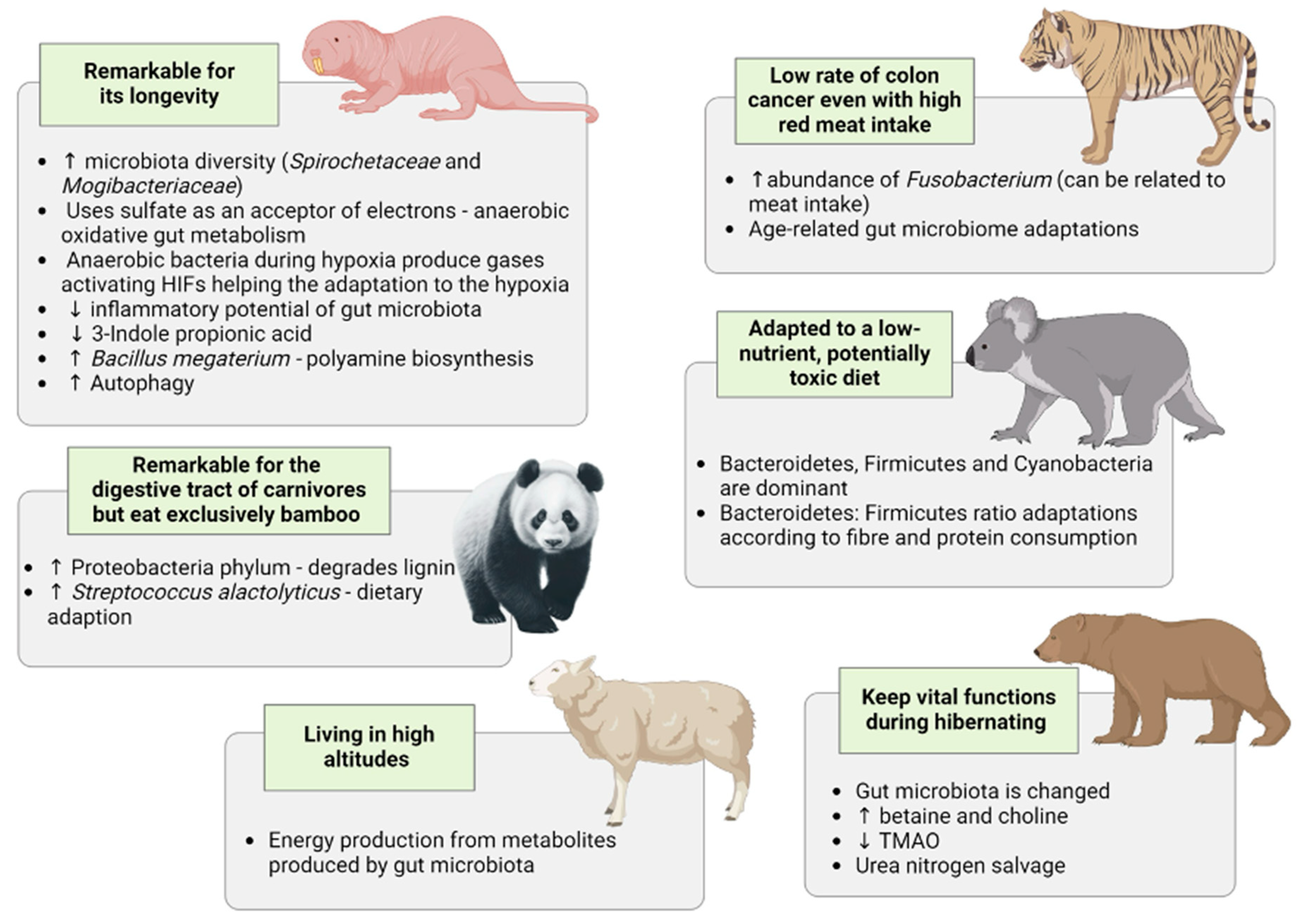 Nutrients 16 01789 g001
