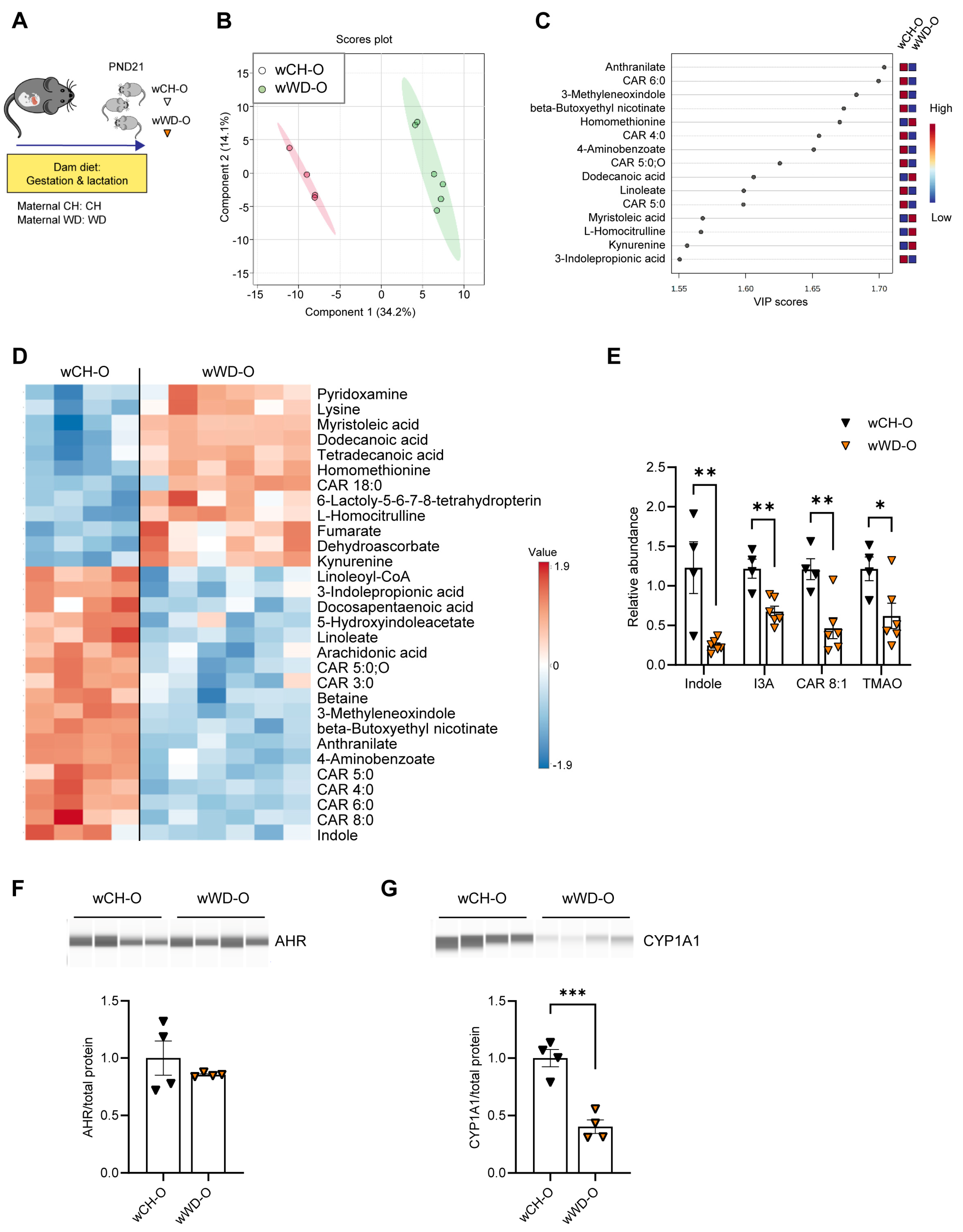 Nutrients 16 01808 g002