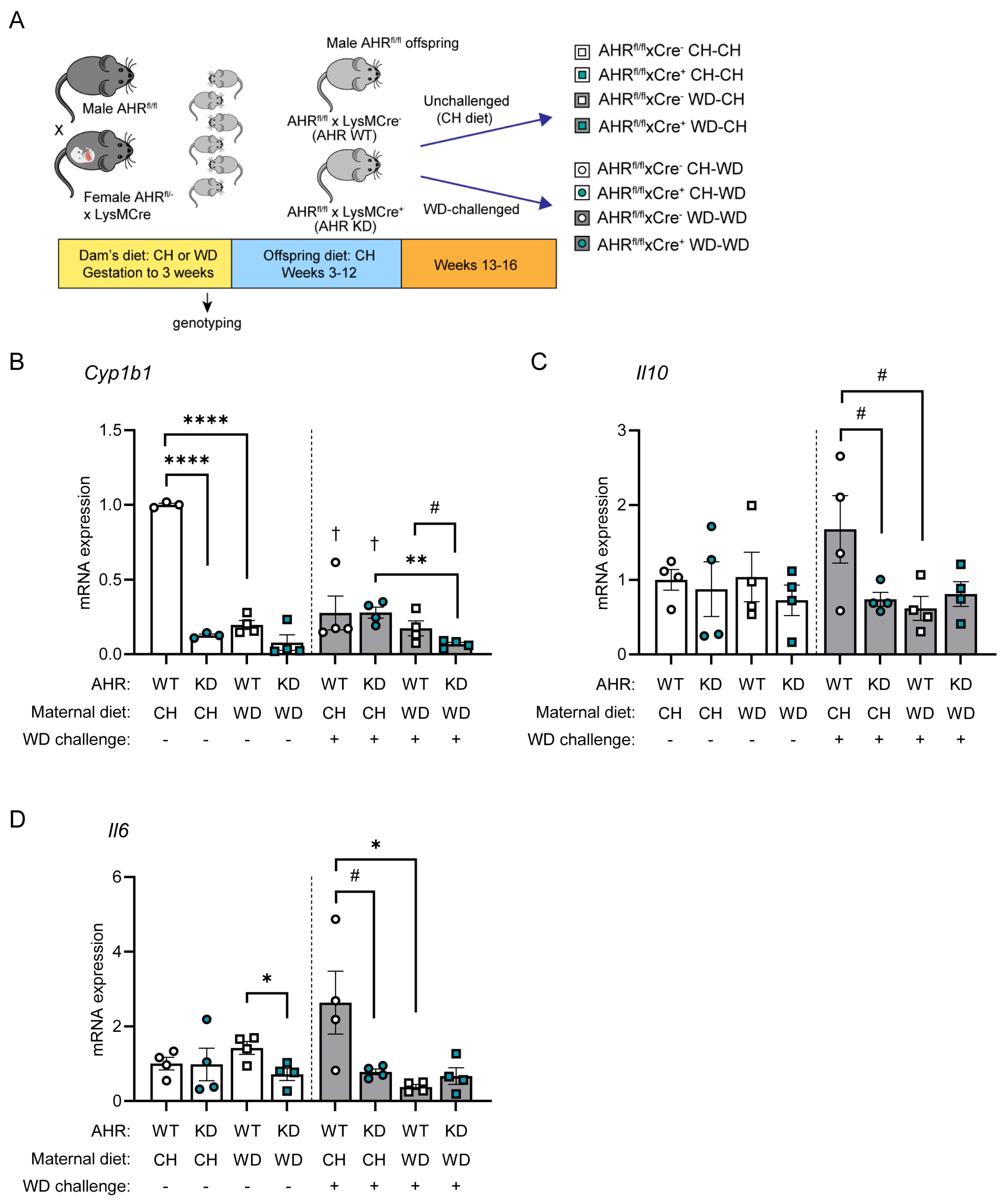 Nutrients 16 01808 g005