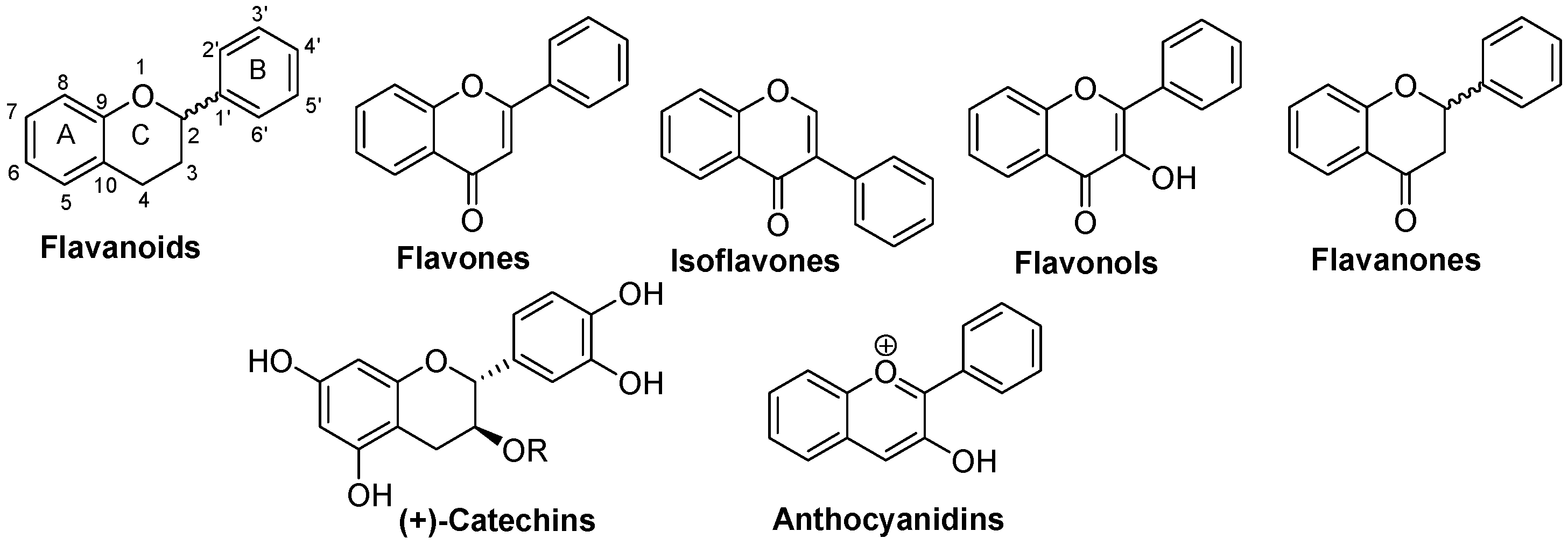Nutrients 16 01815 g002