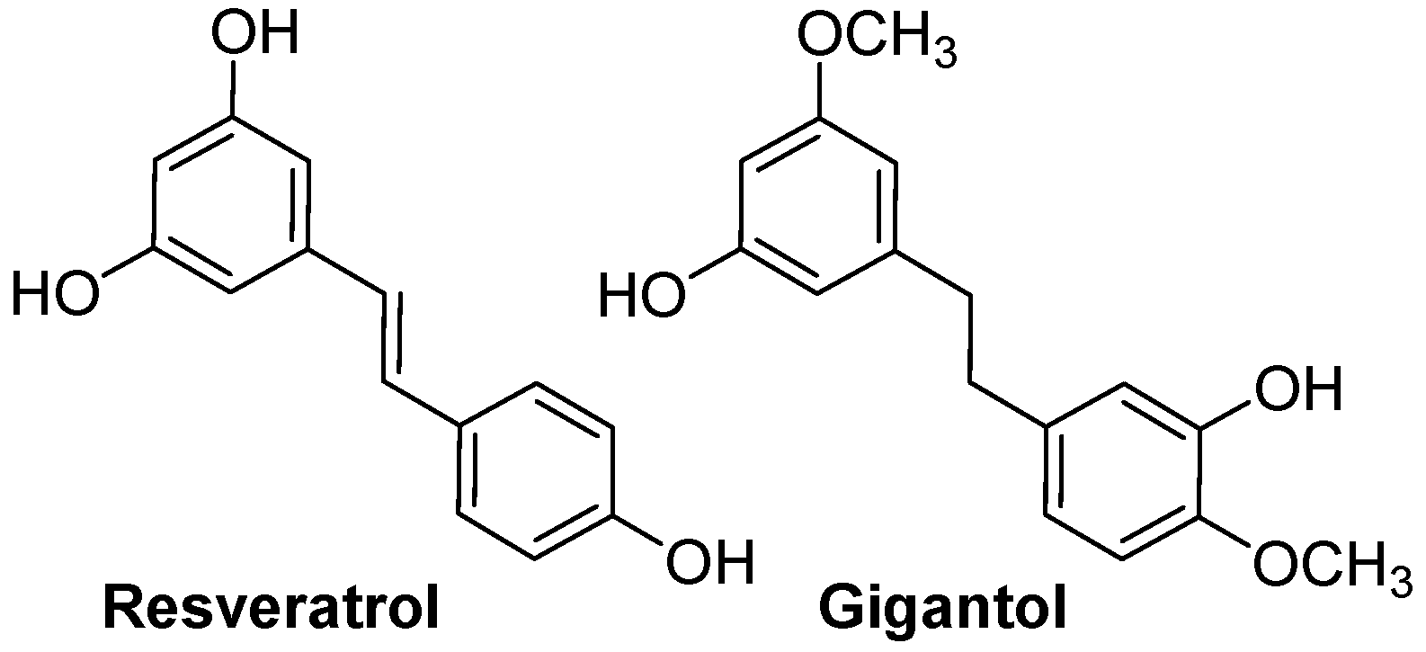Nutrients 16 01815 g004