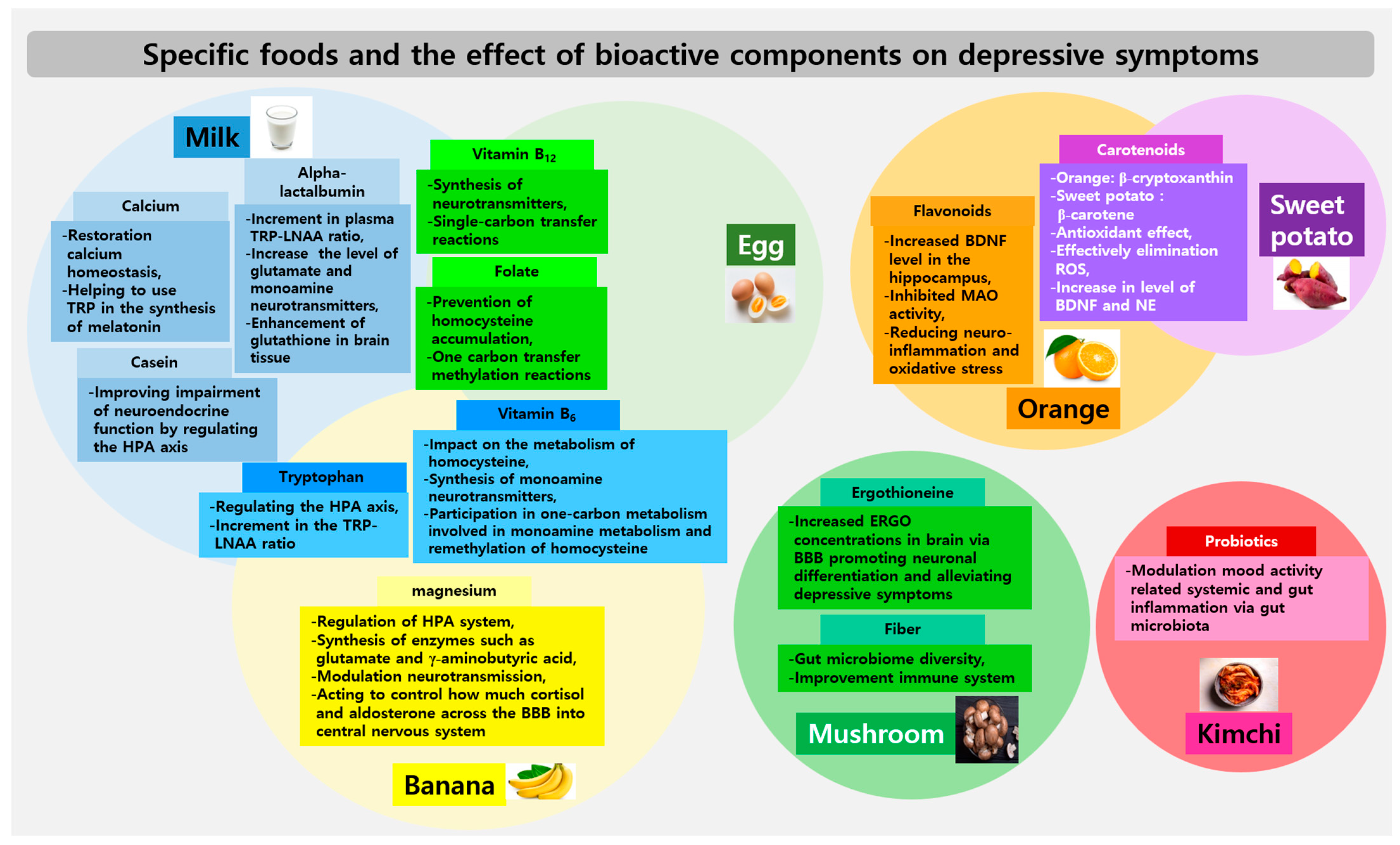 Nutrients 16 01818 g002