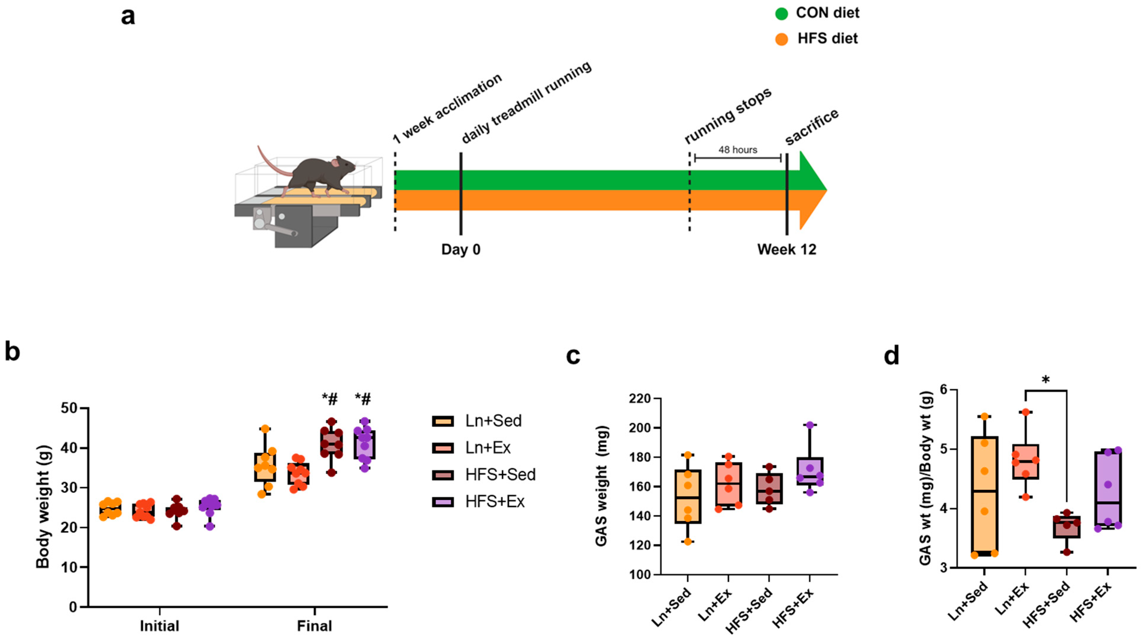 Nutrients 16 01836 g001