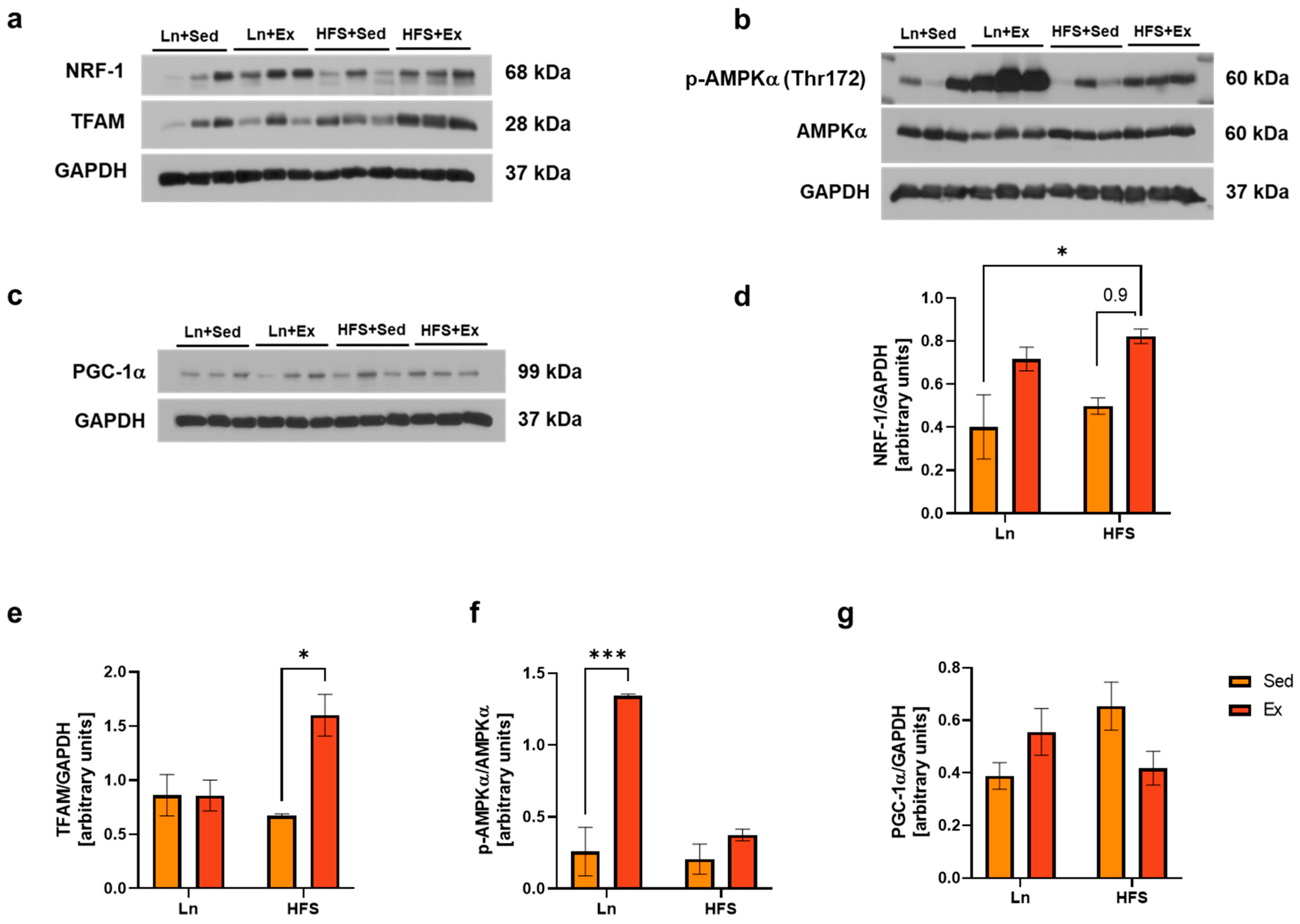 Nutrients 16 01836 g003