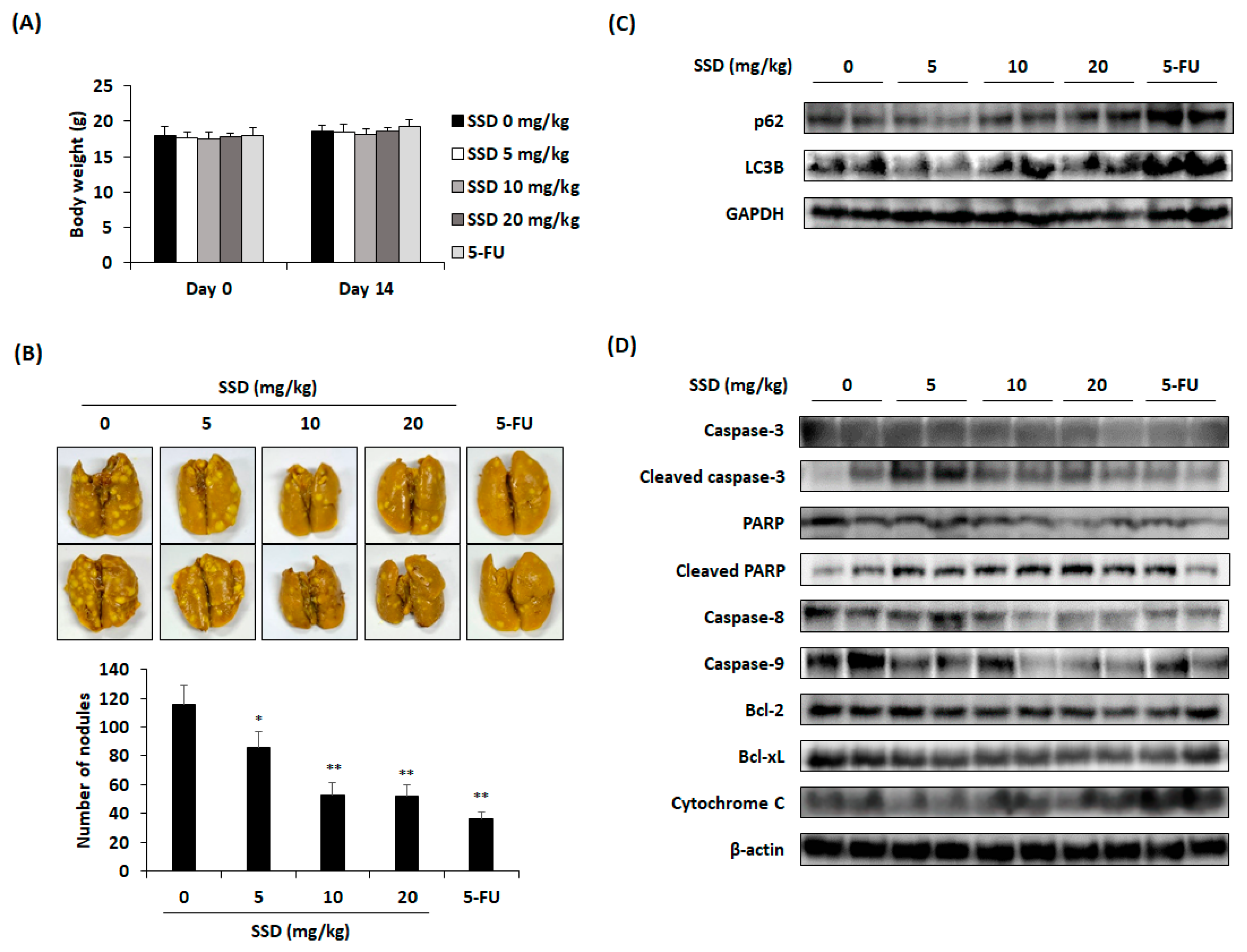 Nutrients 16 01844 g005