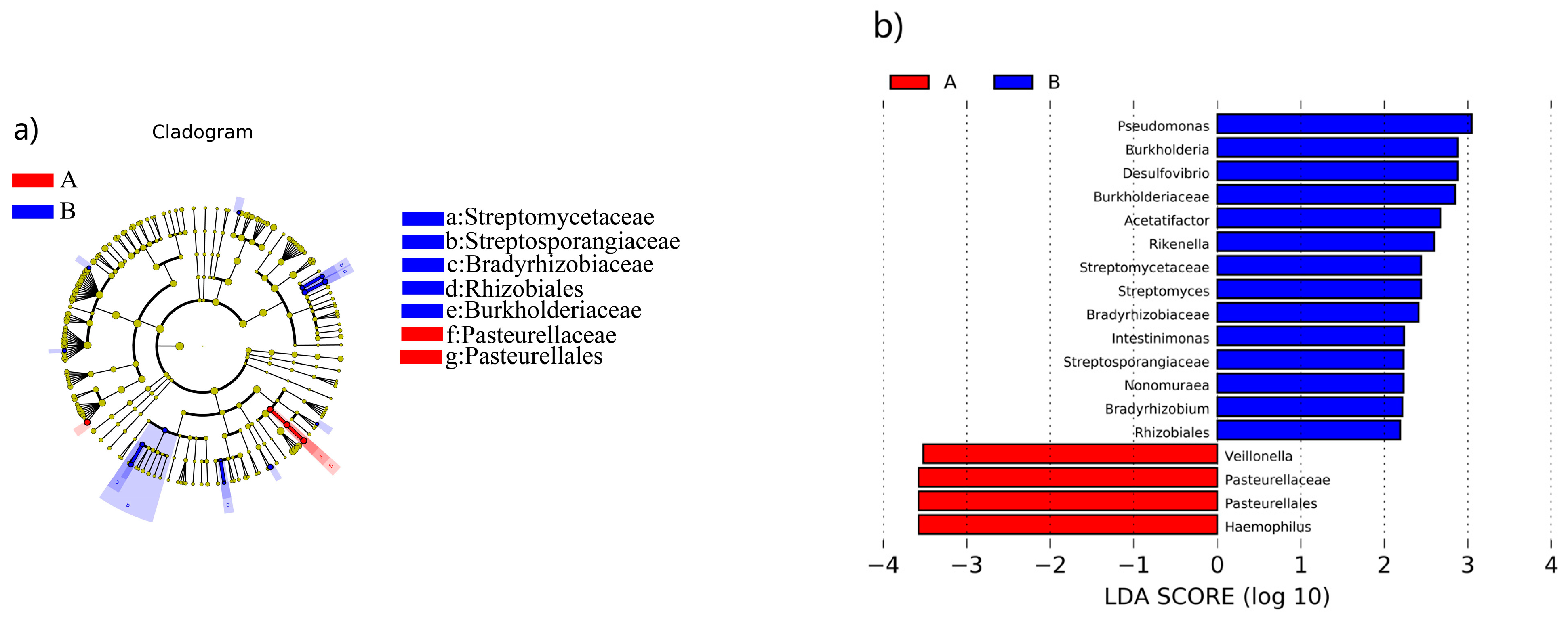 Nutrients 16 01864 g005