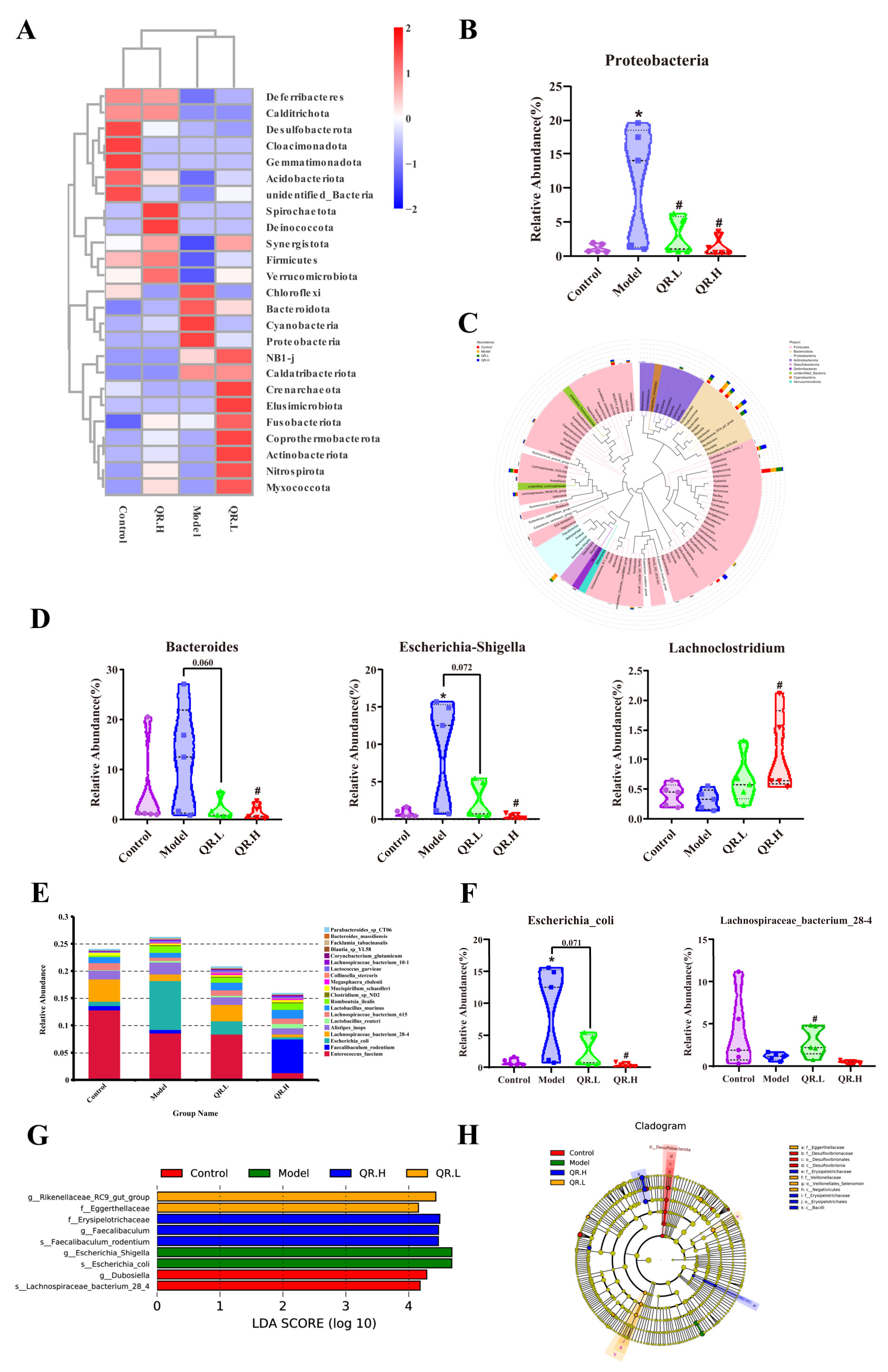 Nutrients 16 01870 g005