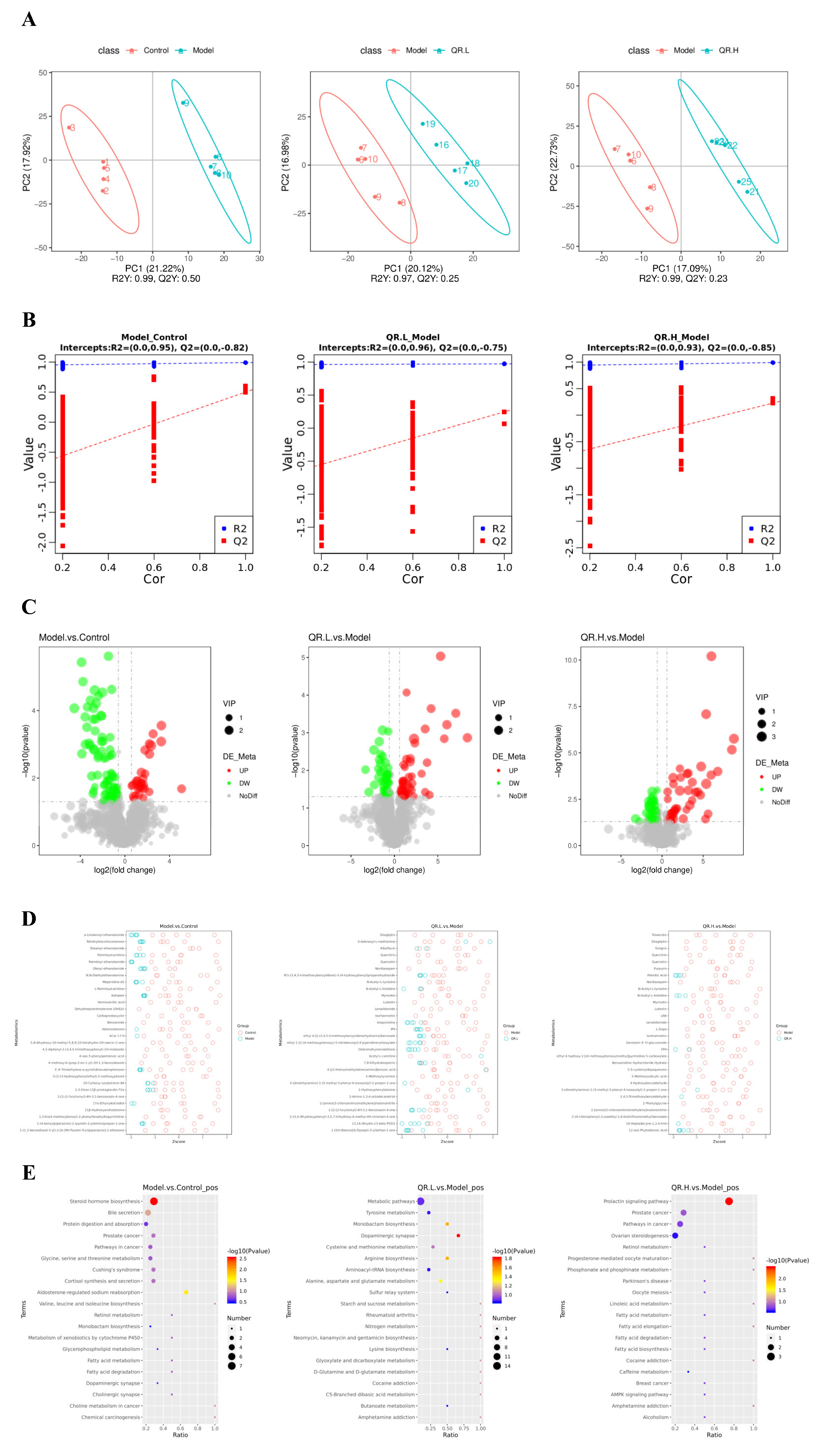 Nutrients 16 01870 g006