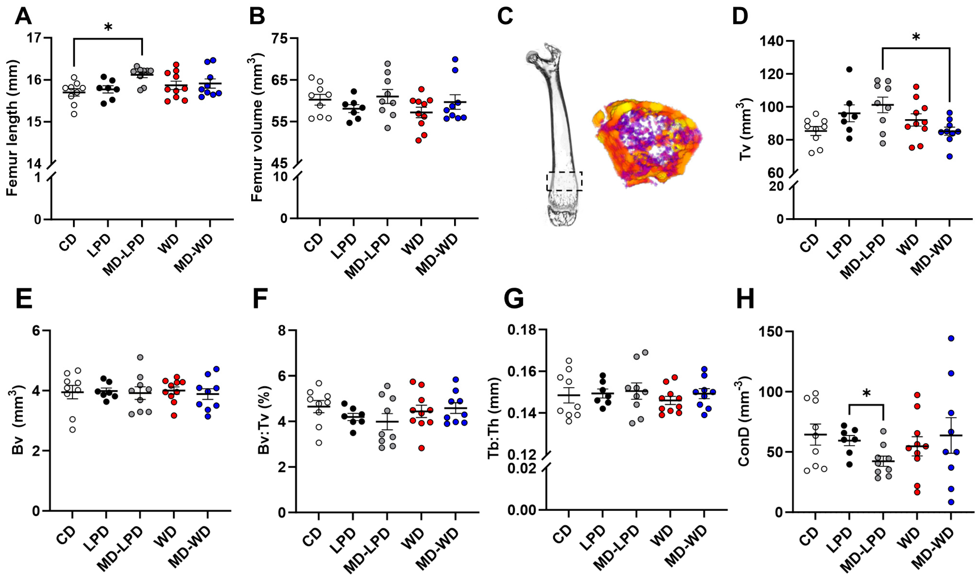 Nutrients 16 01879 g005