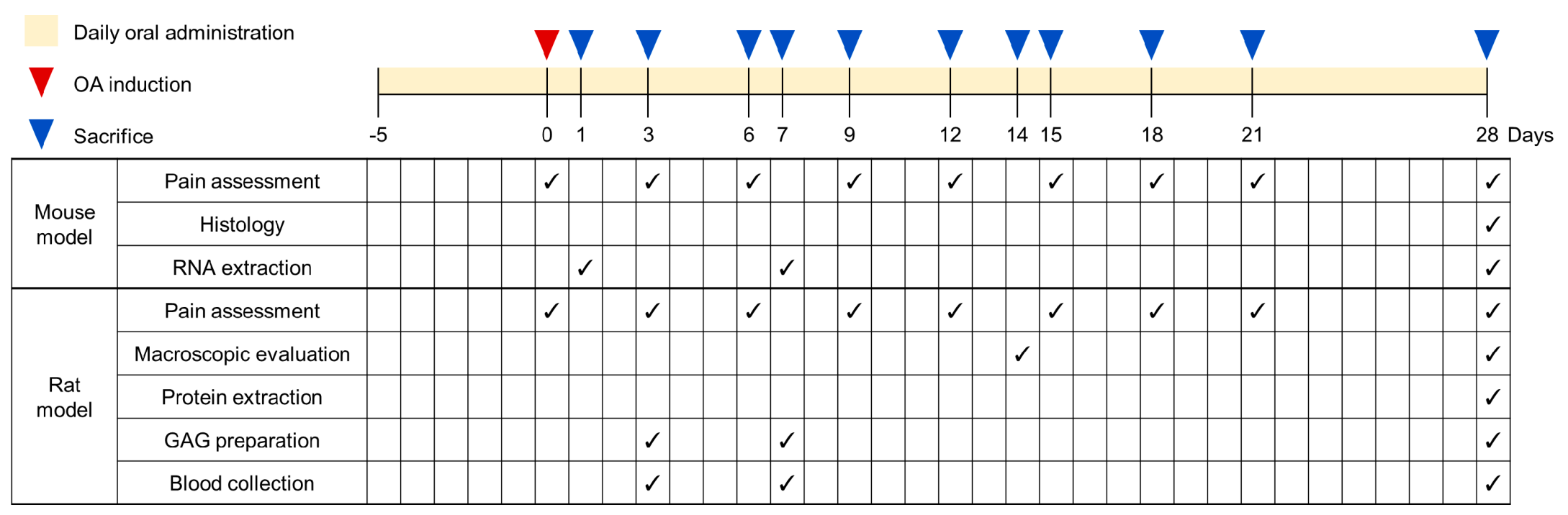 Nutrients 16 01885 g001