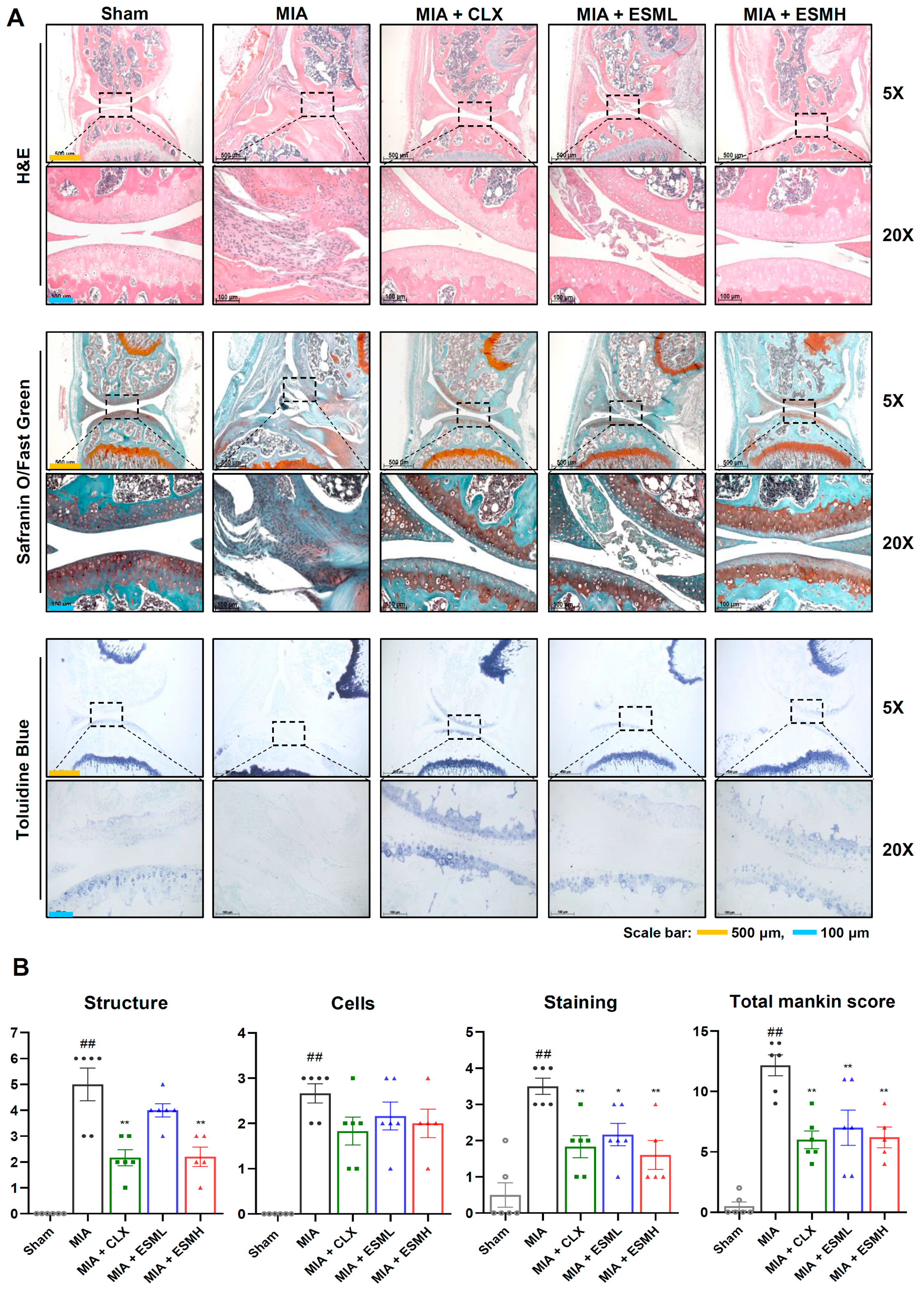 Nutrients 16 01885 g004