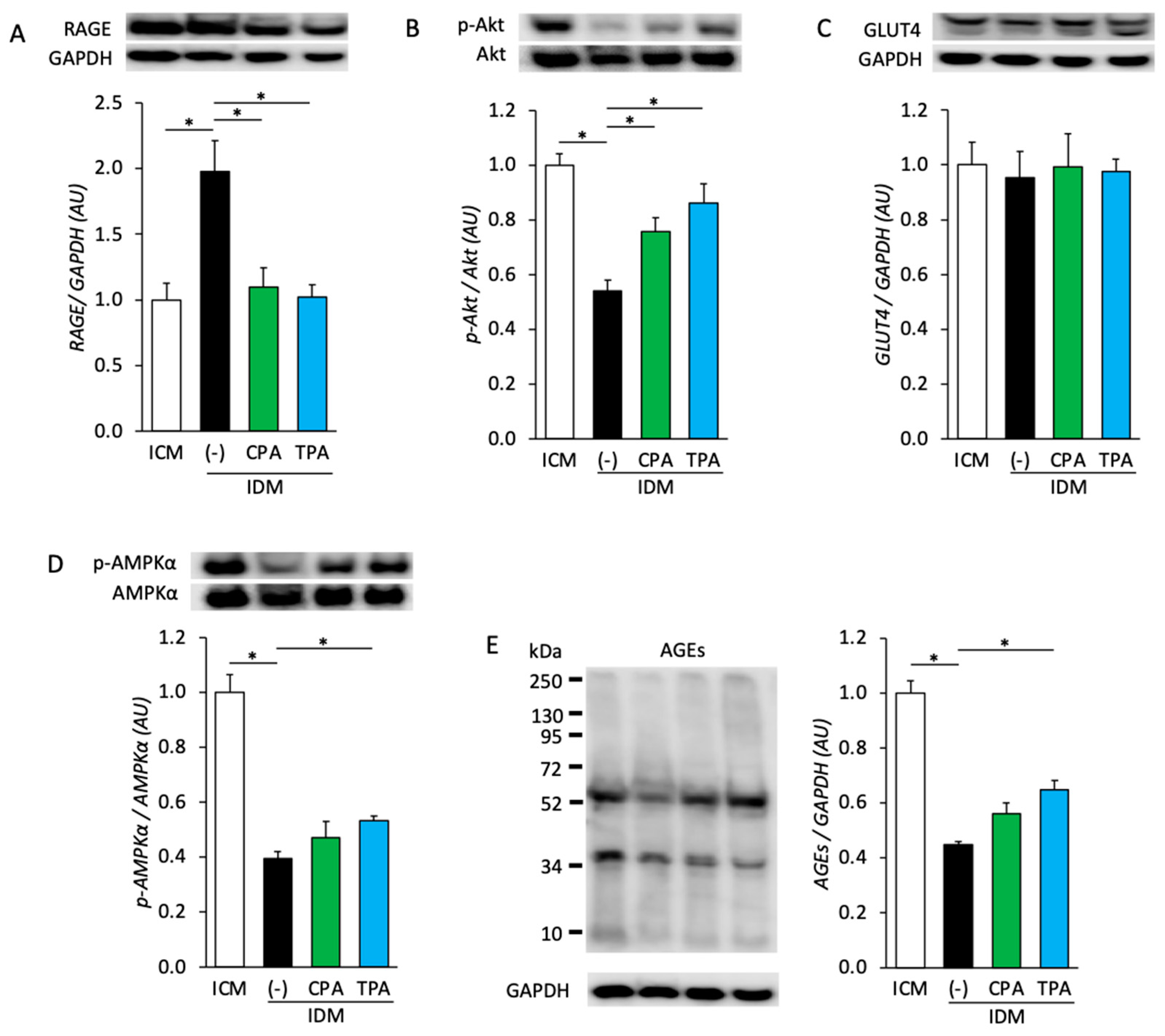 Nutrients 16 01898 g002