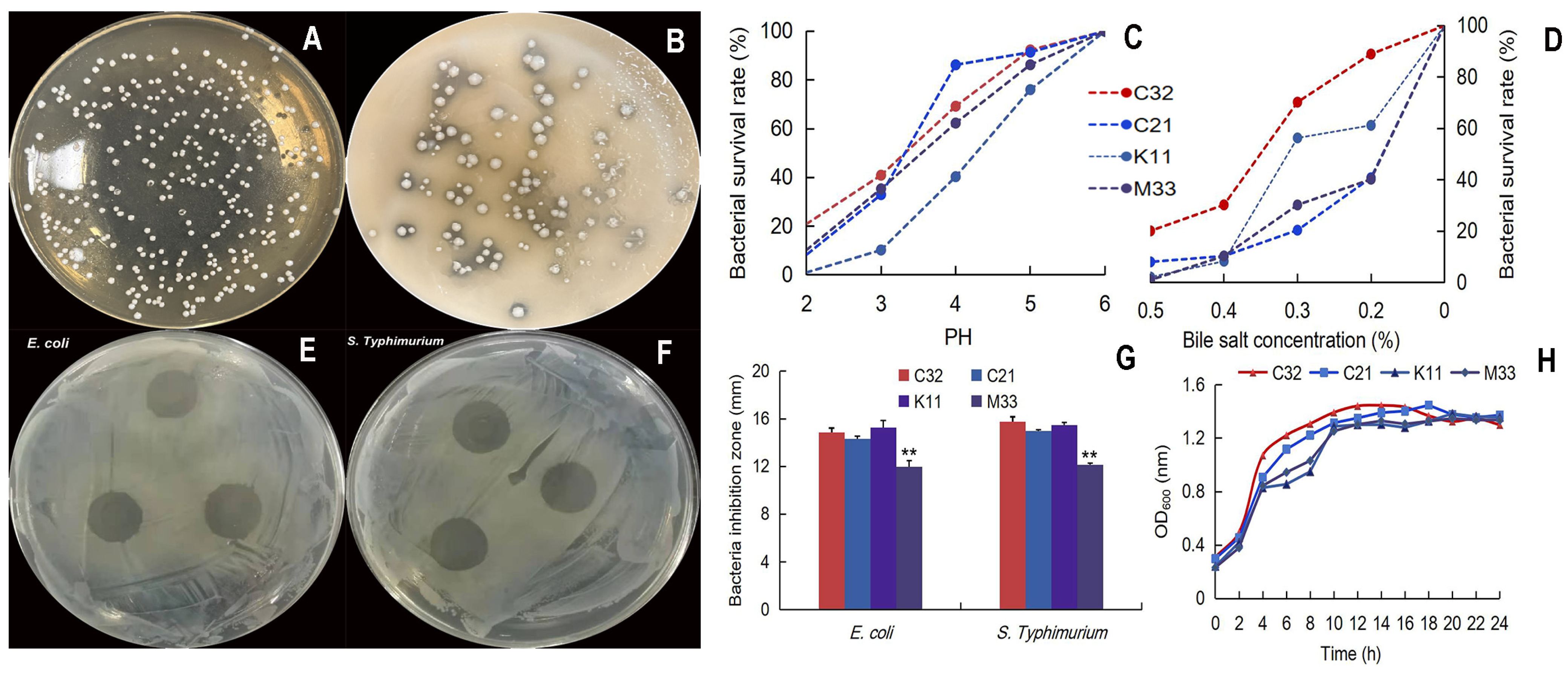 Nutrients 16 01900 g001