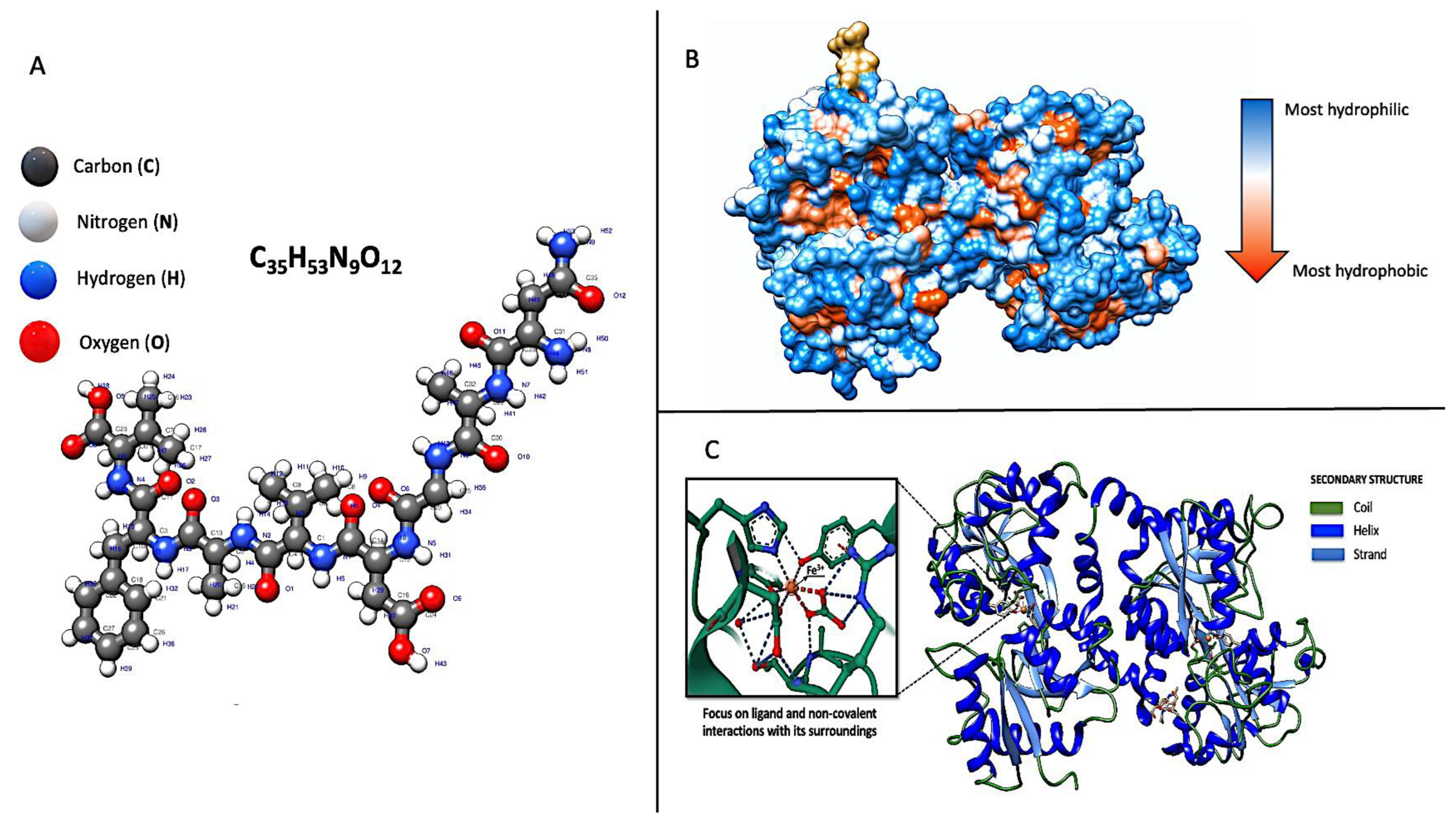 Nutrients 16 01906 g002