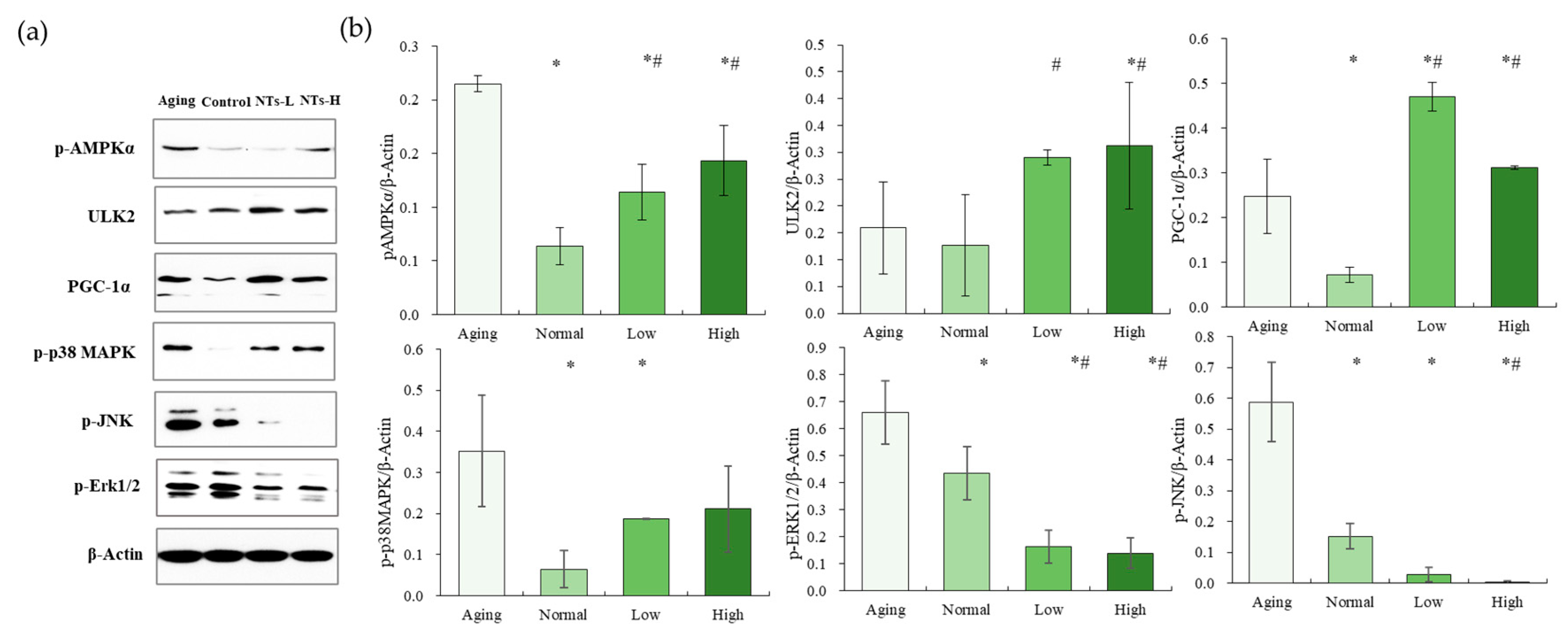 Nutrients 16 01907 g006