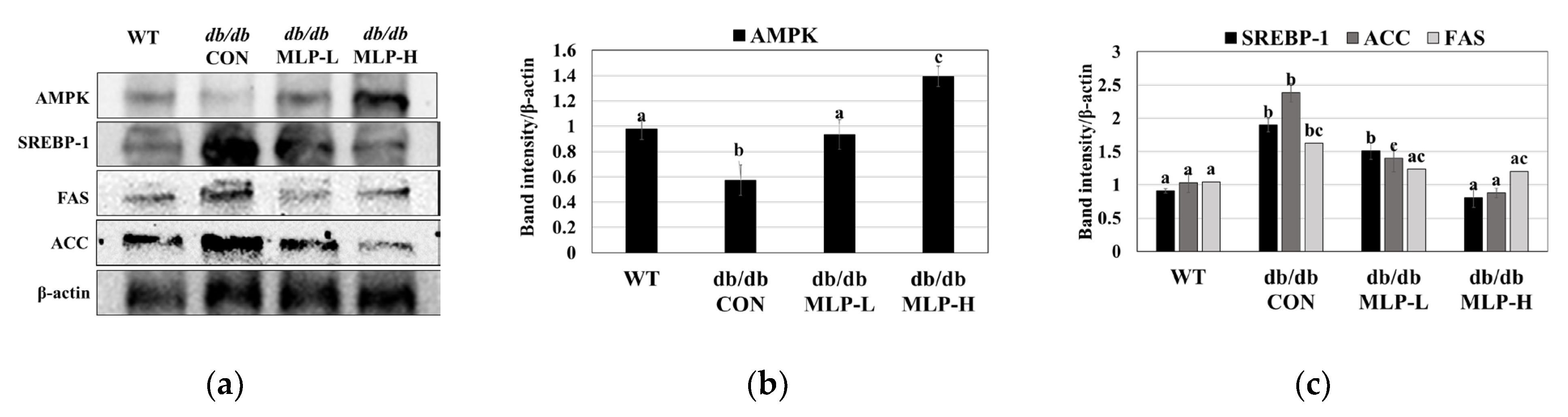 Nutrients 16 01913 g005