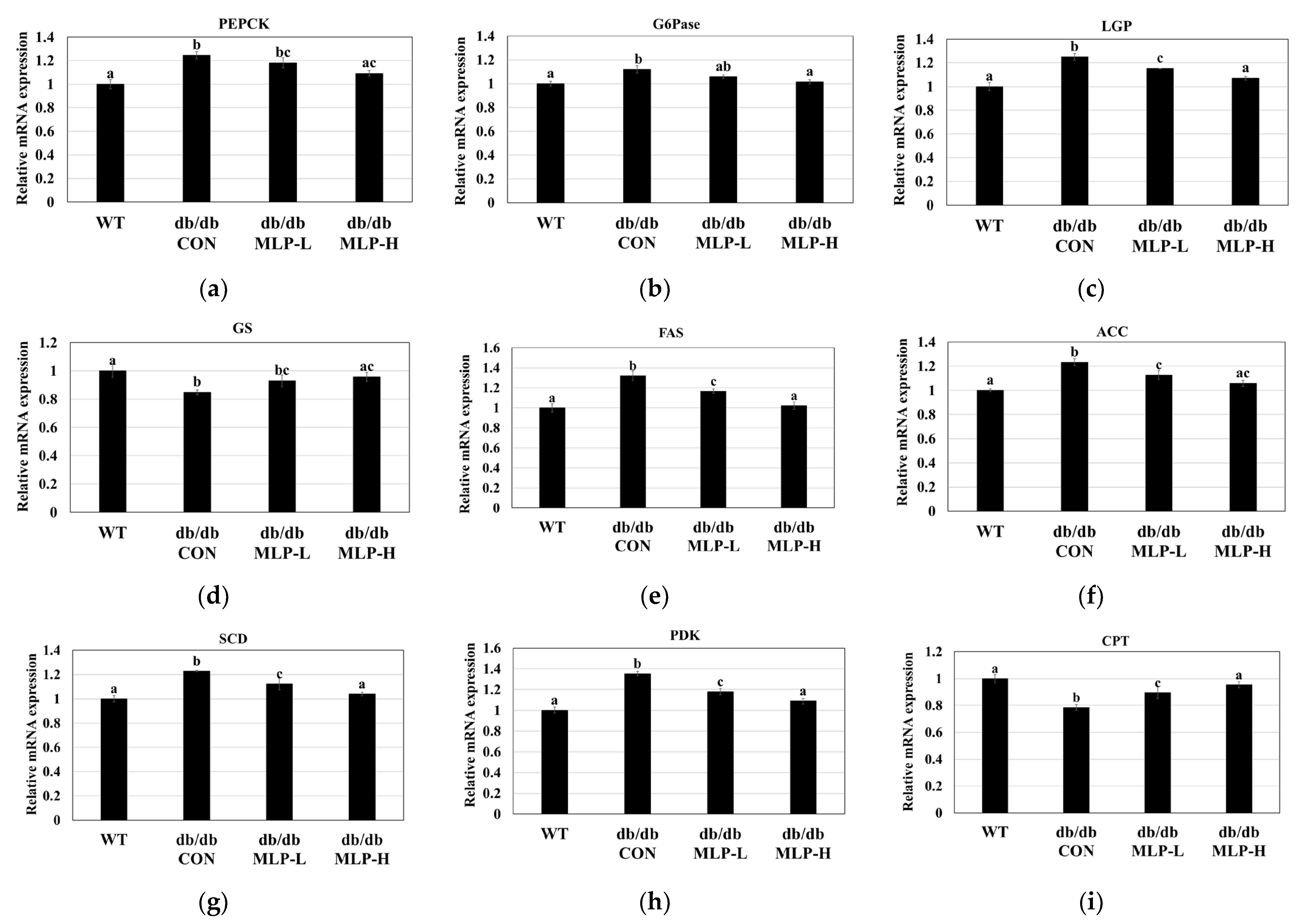 Nutrients 16 01913 g006