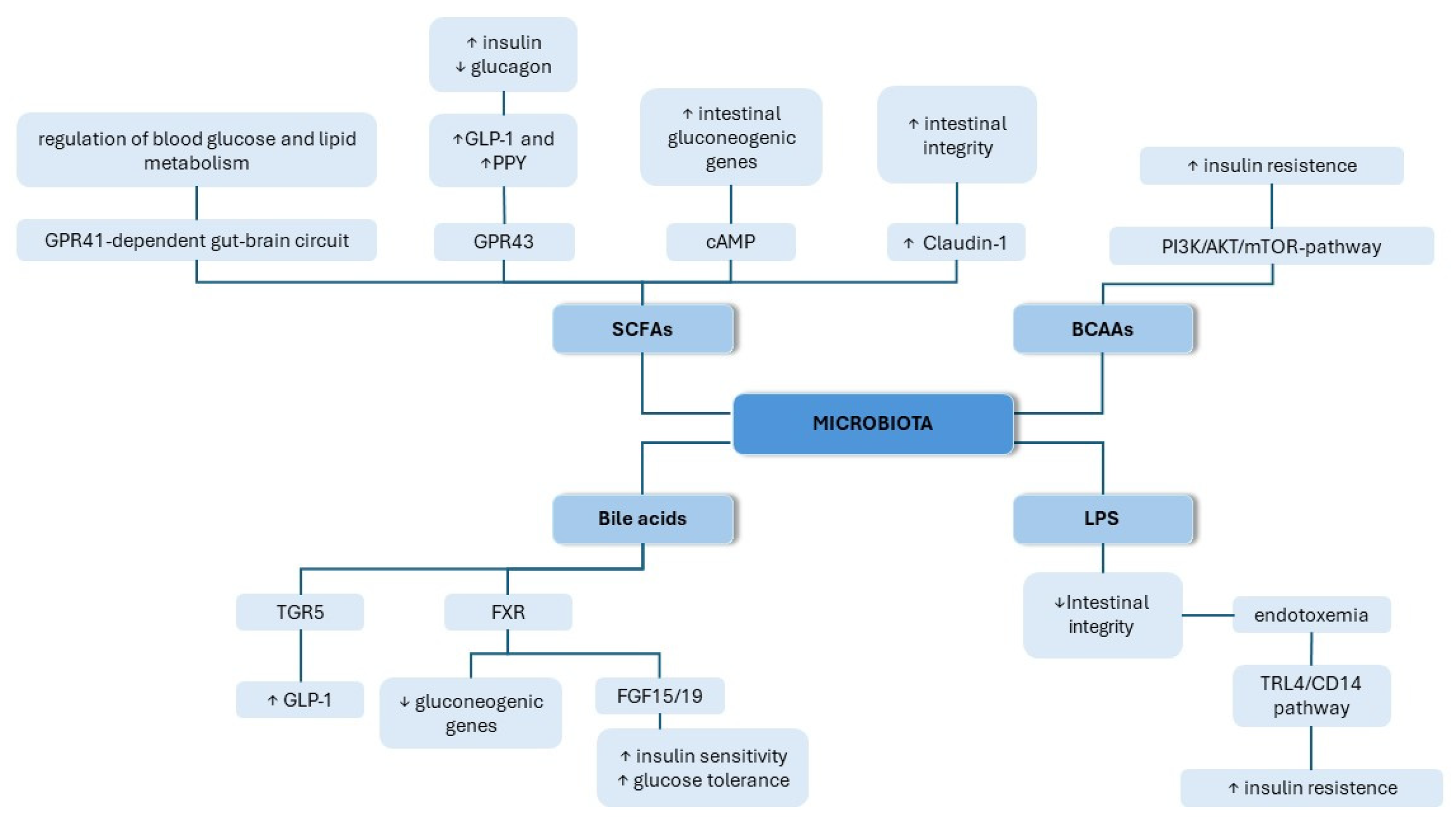 Nutrients 16 01938 g002