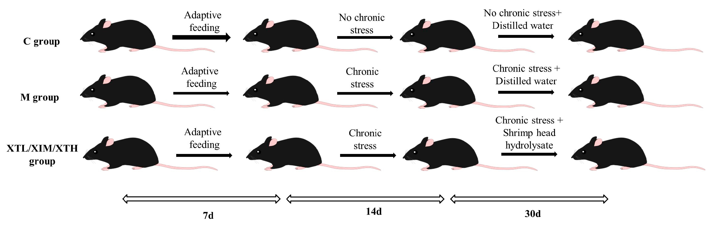 Nutrients 16 01953 g001