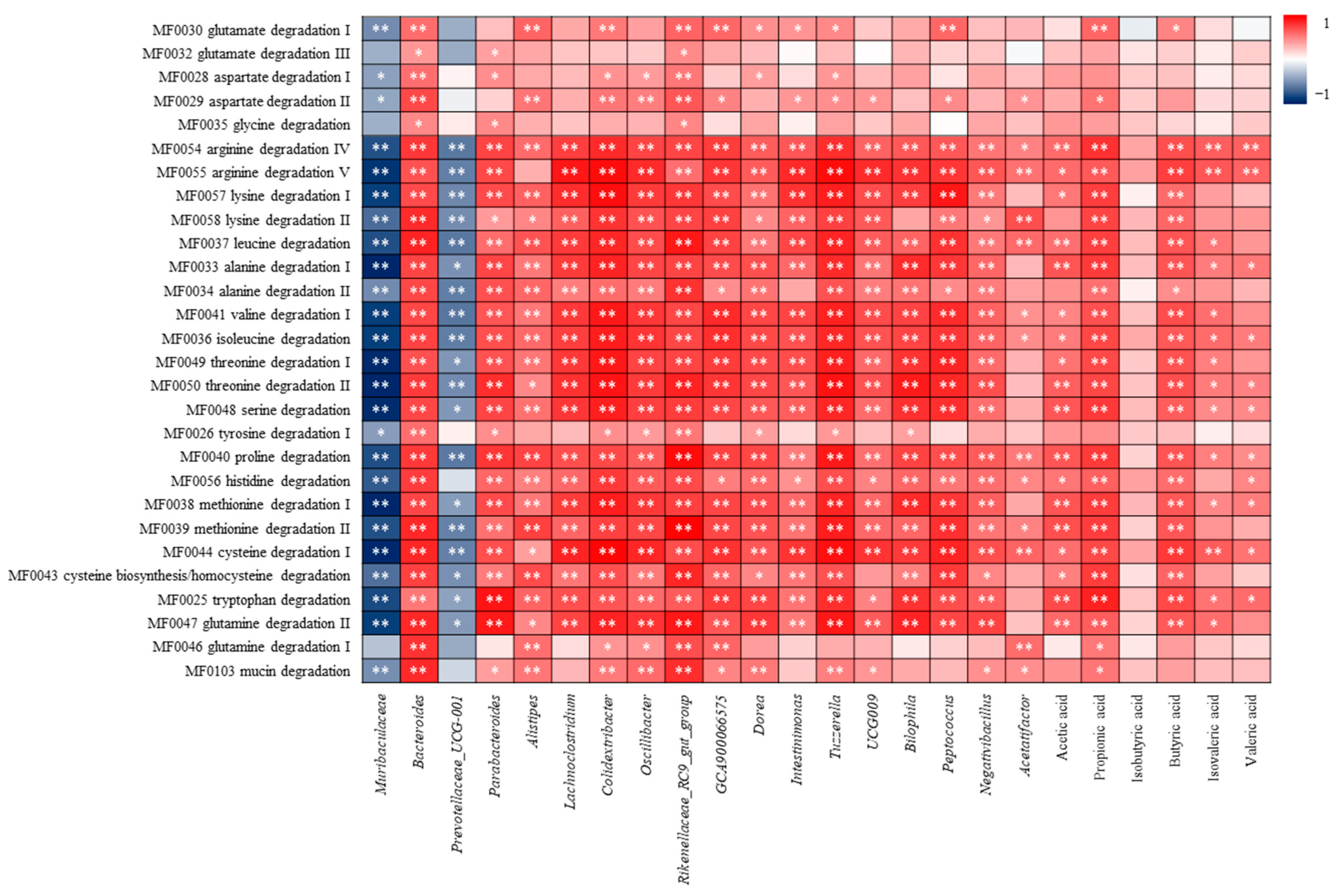 Nutrients 16 01953 g016