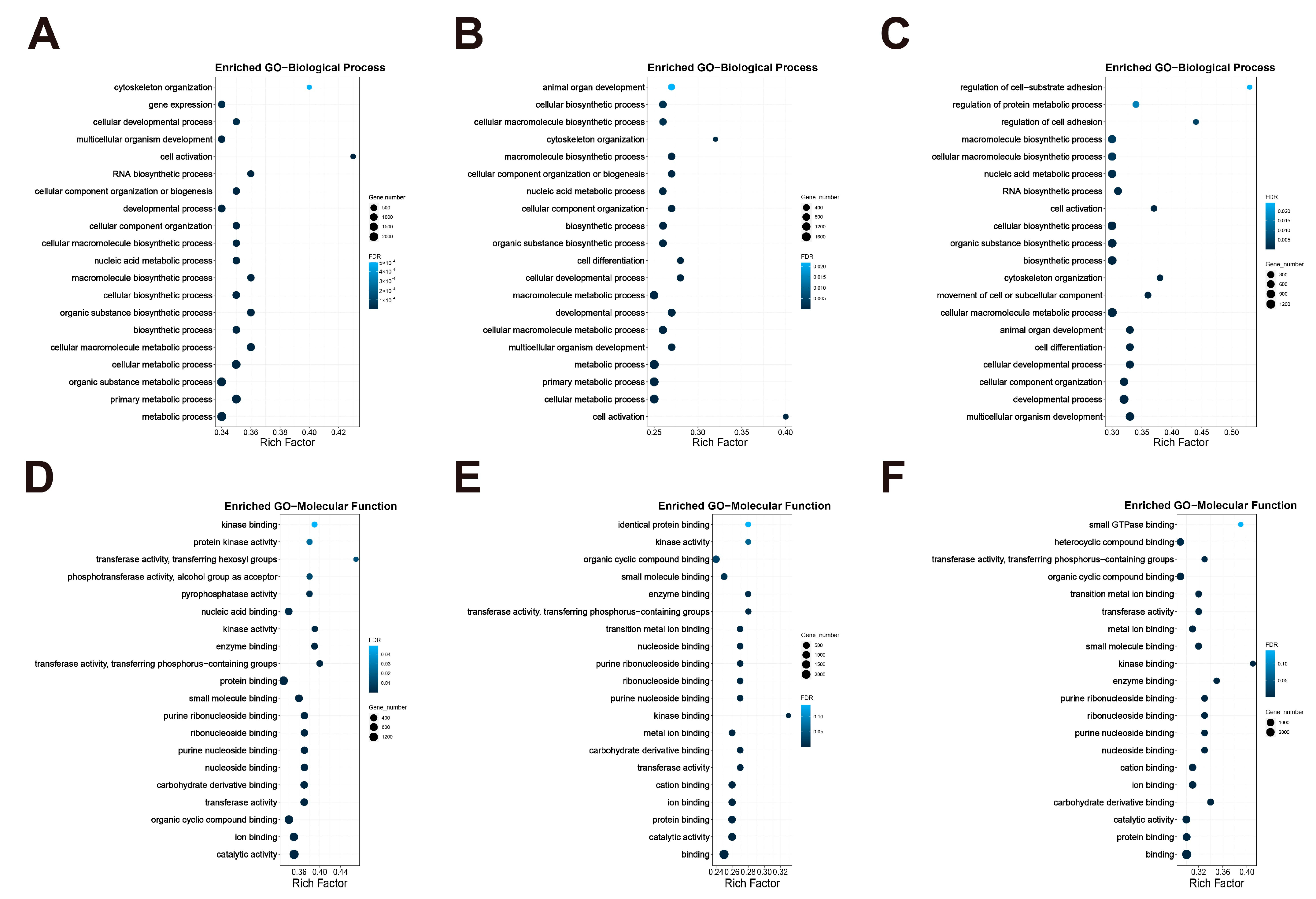 Nutrients 16 01958 g005