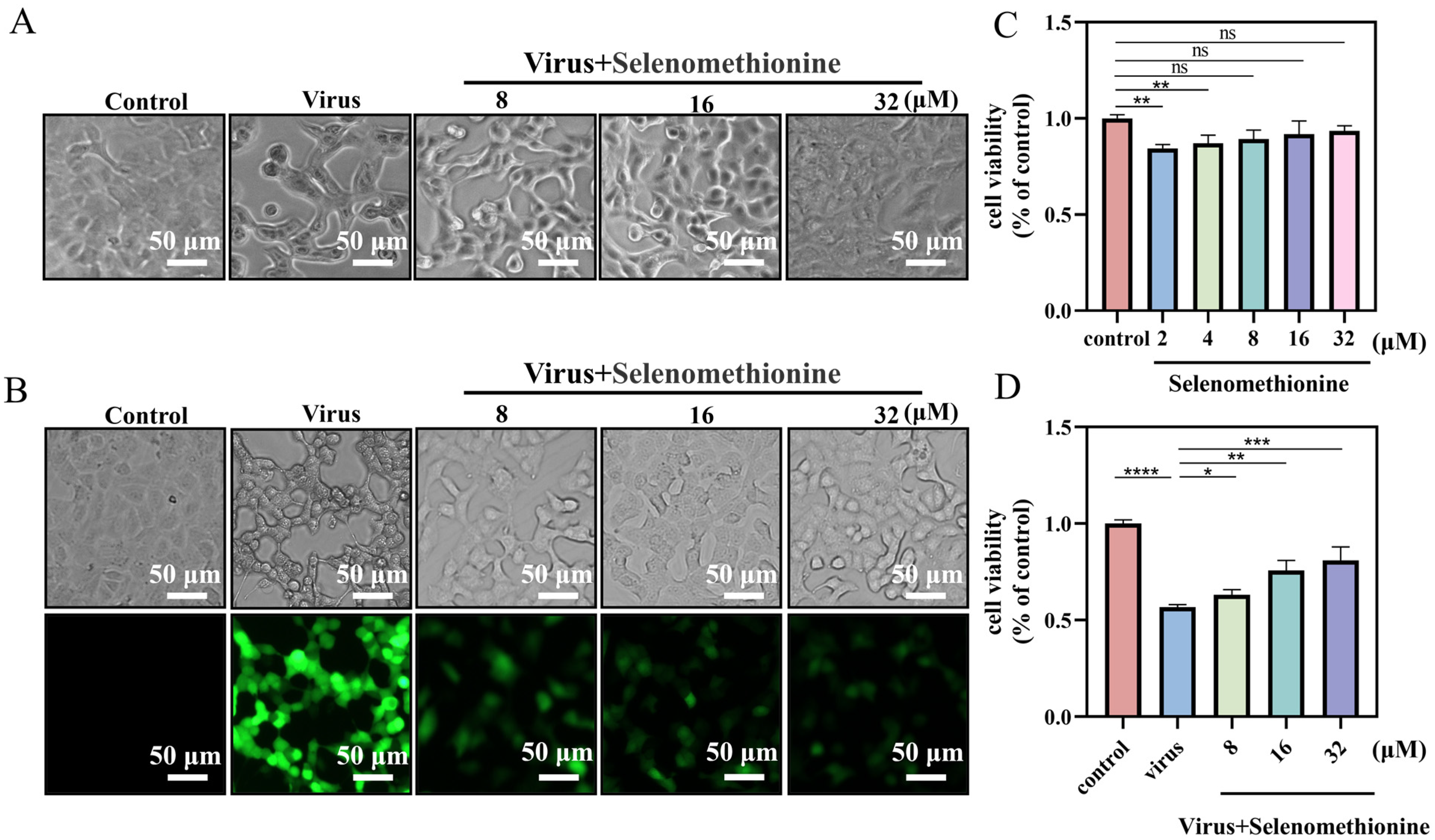 Nutrients 16 01966 g001