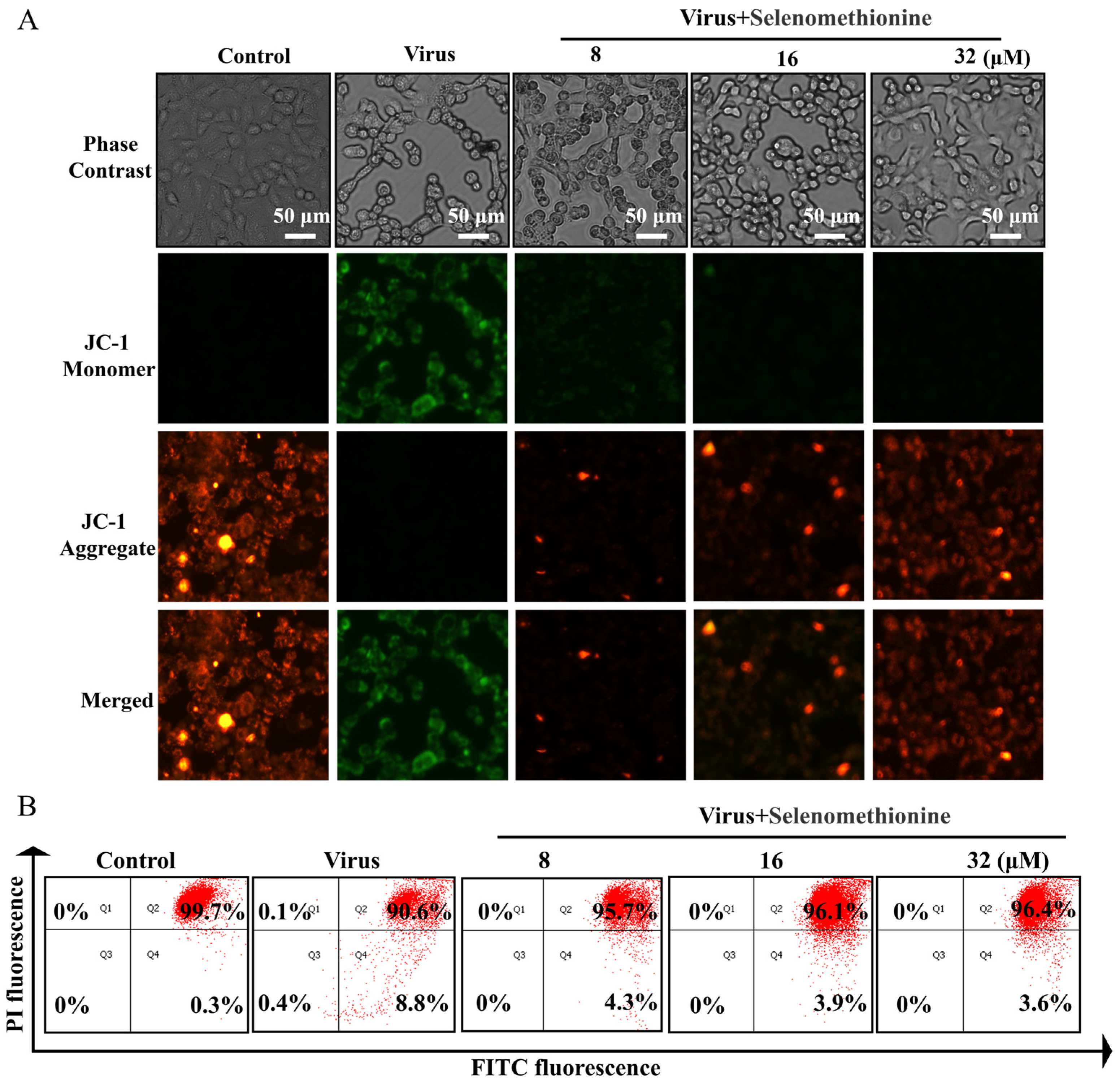 Nutrients 16 01966 g003