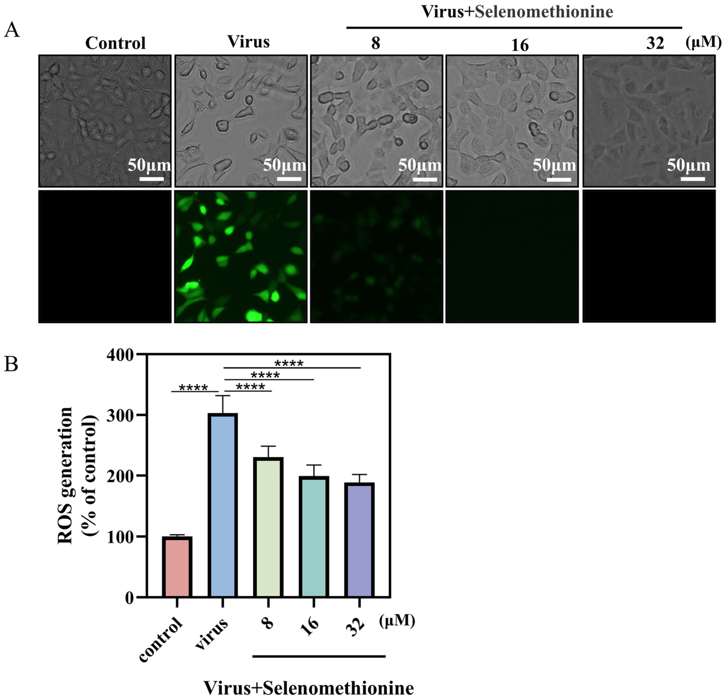 Nutrients 16 01966 g004