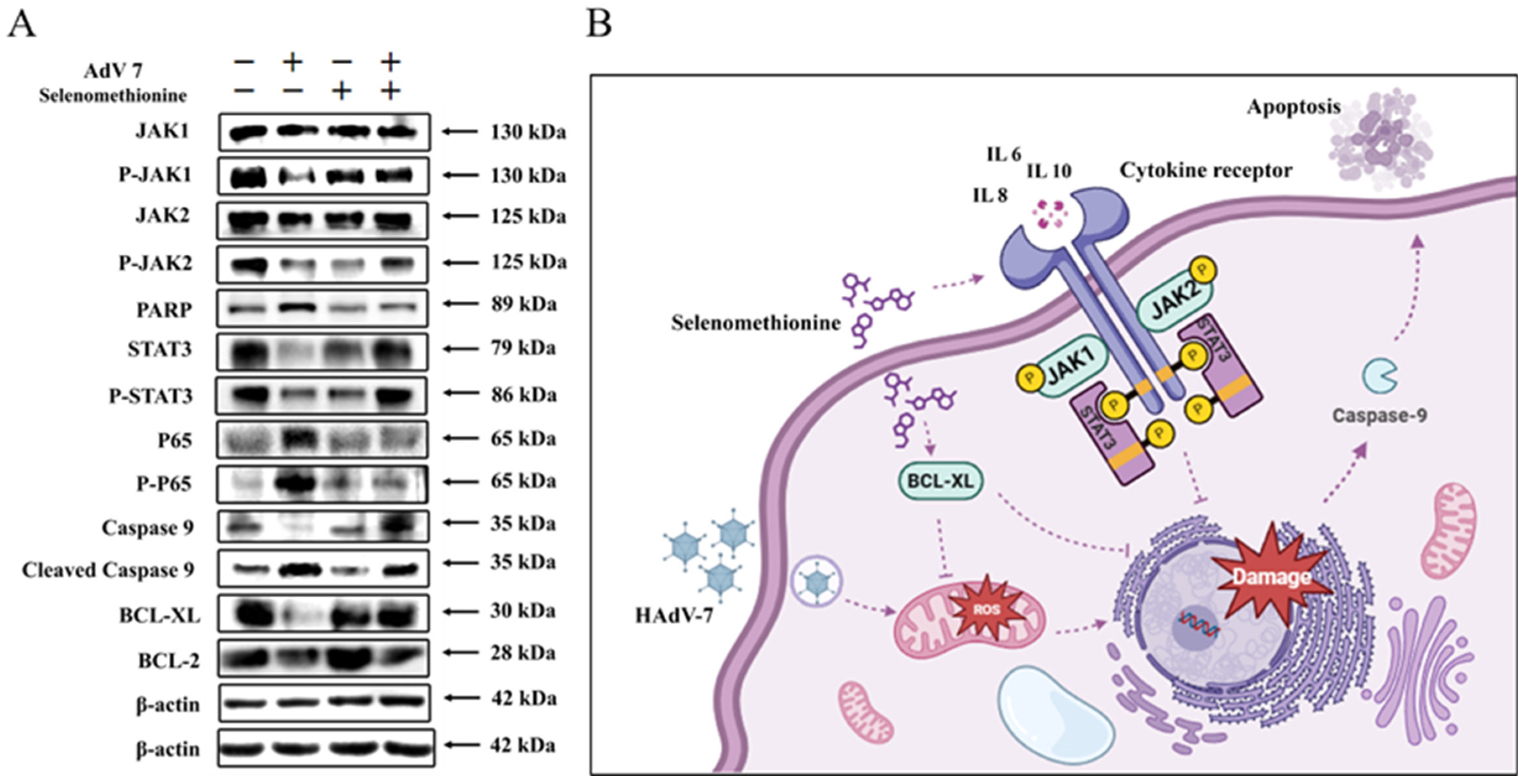 Nutrients 16 01966 g006