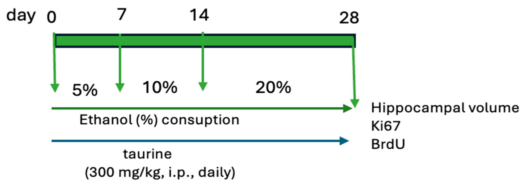 Nutrients 16 01973 g001