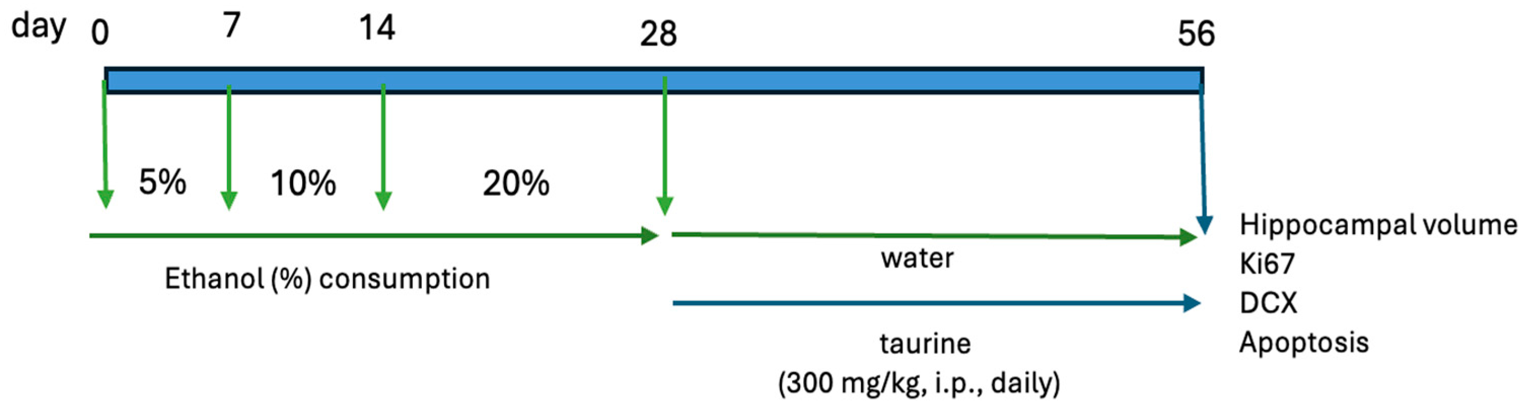 Nutrients 16 01973 g002