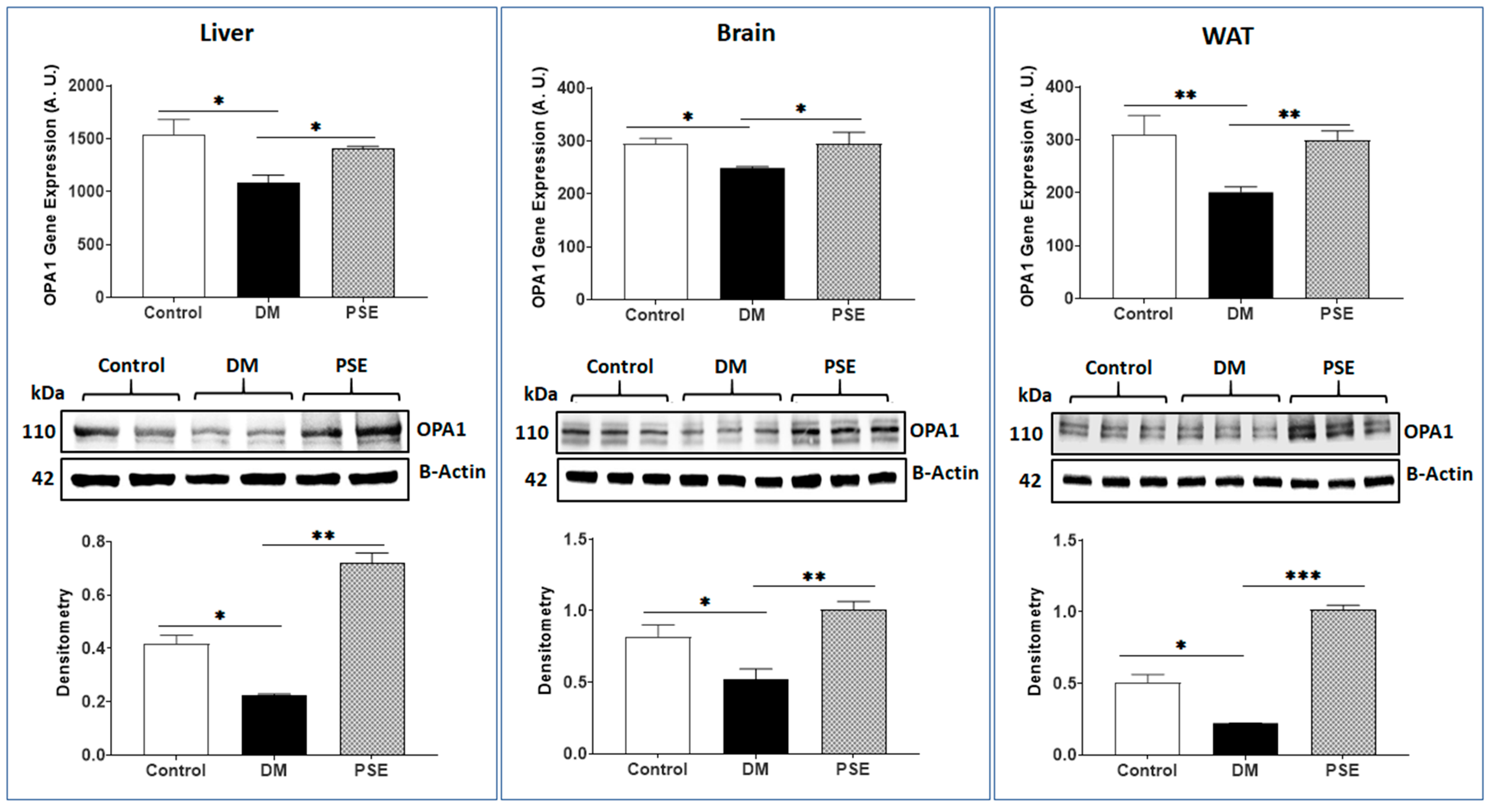 Nutrients 16 01977 g005