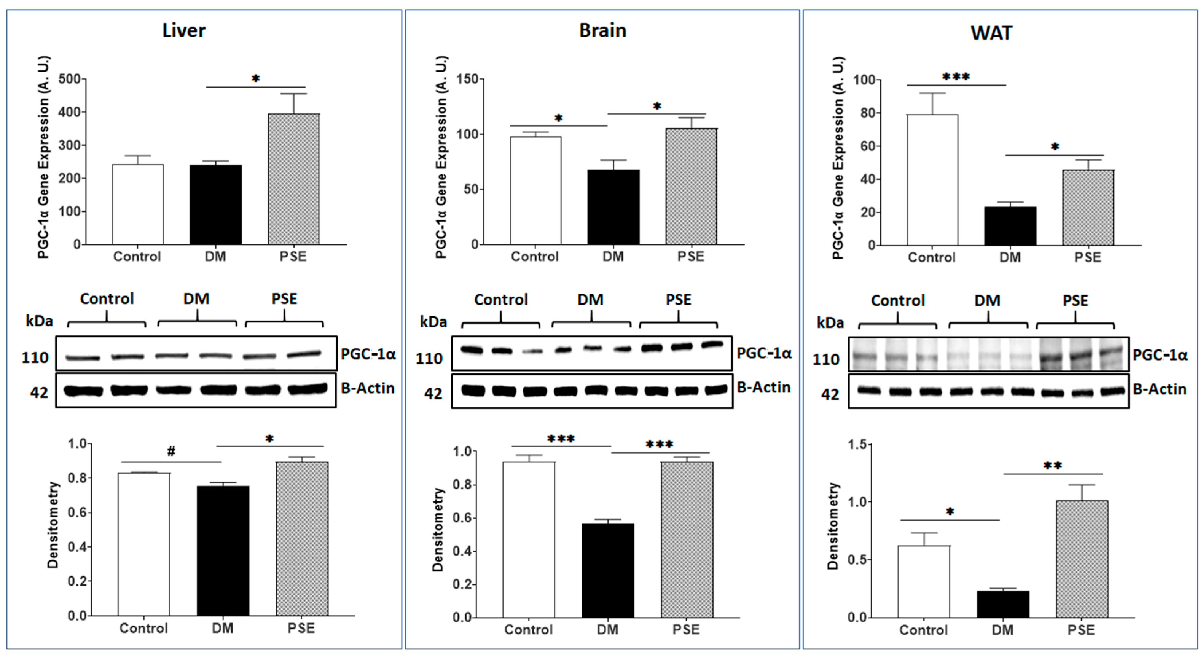 Nutrients 16 01977 g006