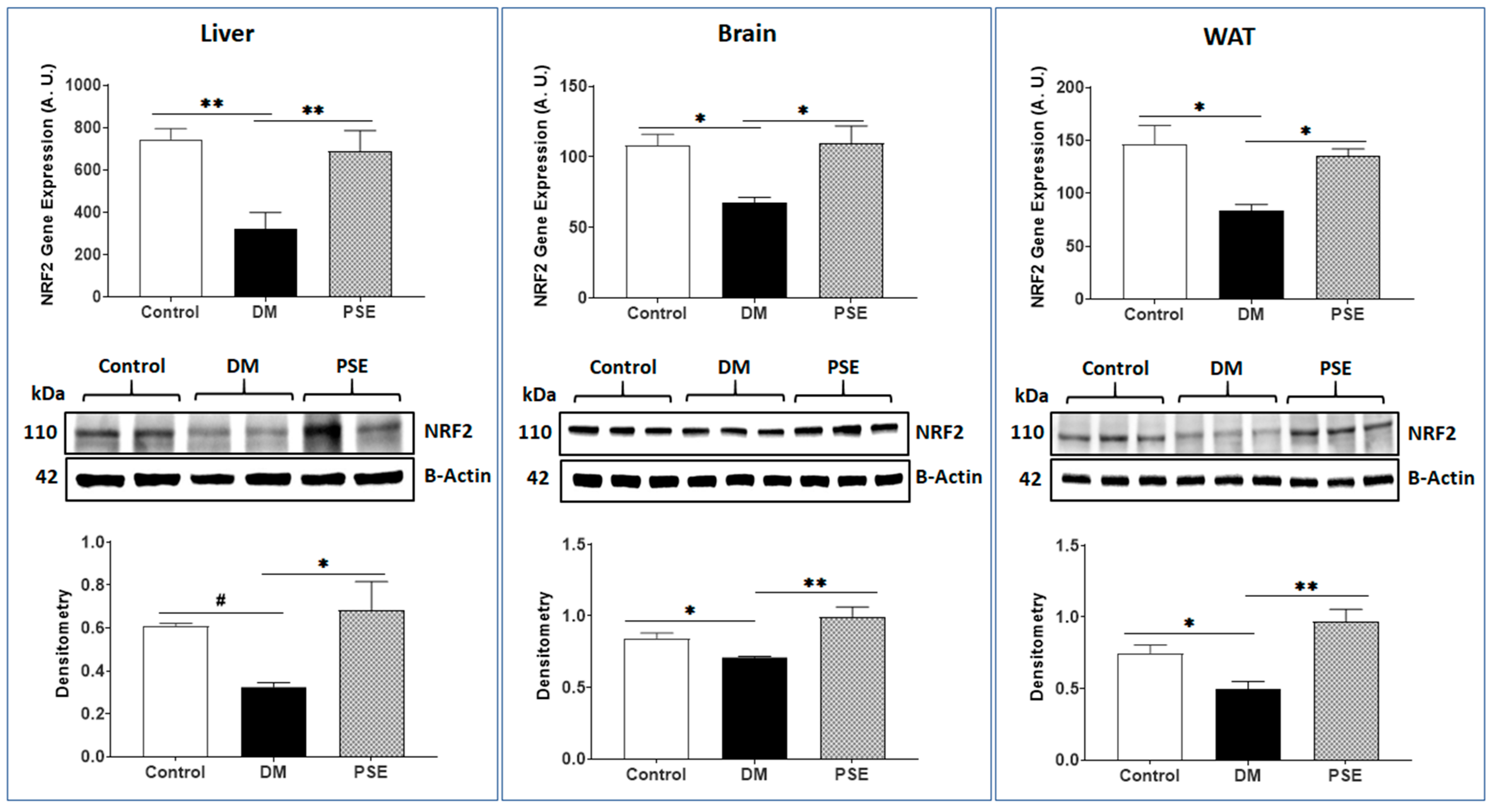 Nutrients 16 01977 g009