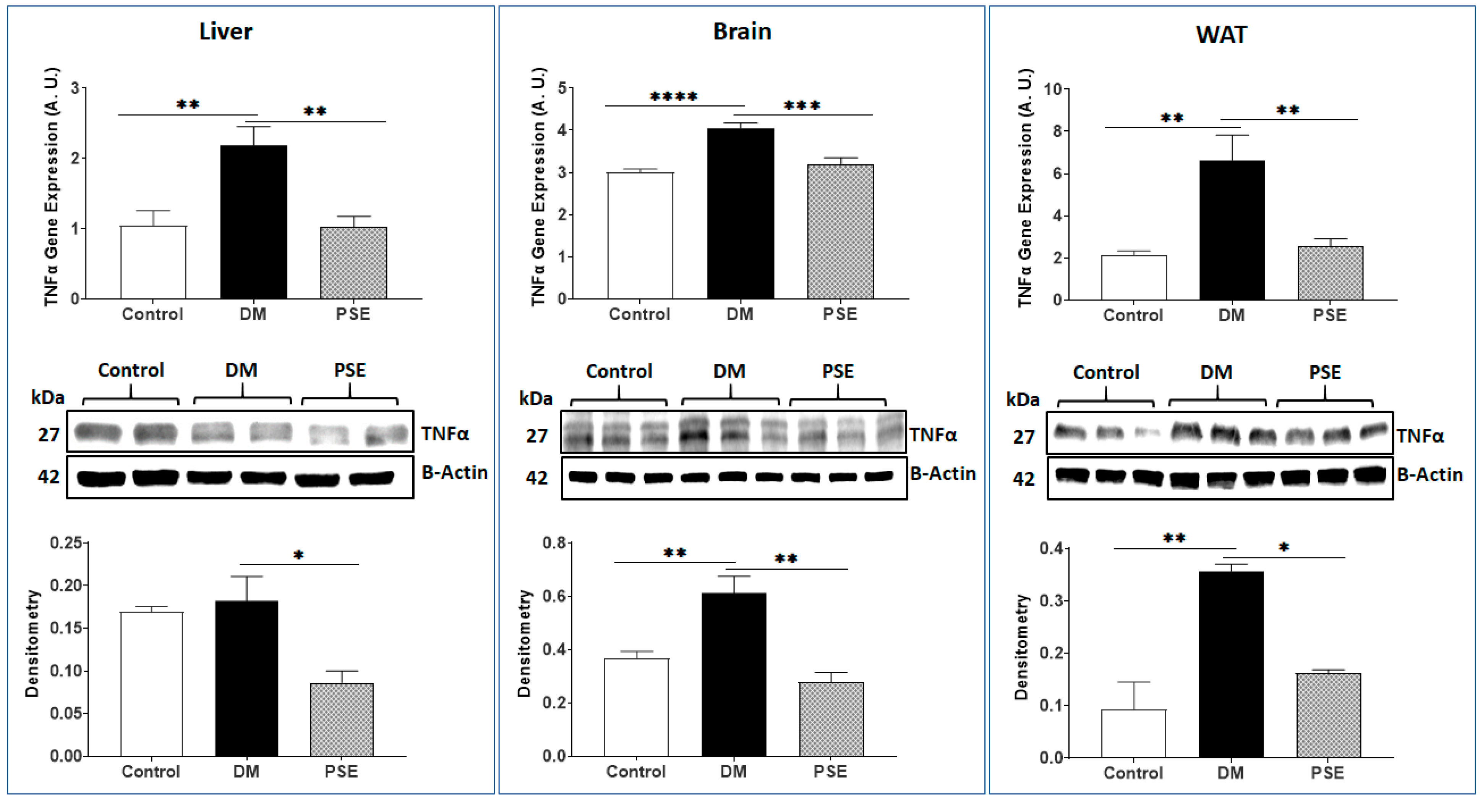 Nutrients 16 01977 g010