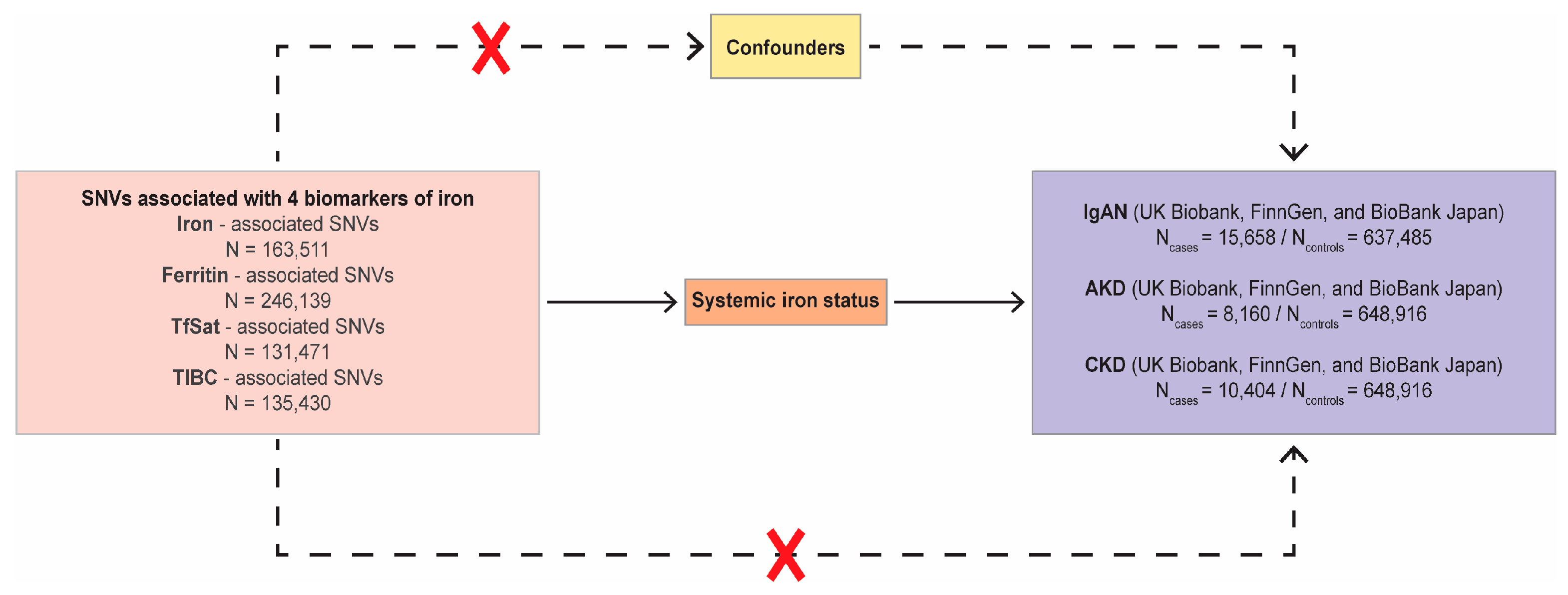 Nutrients 16 01978 g001