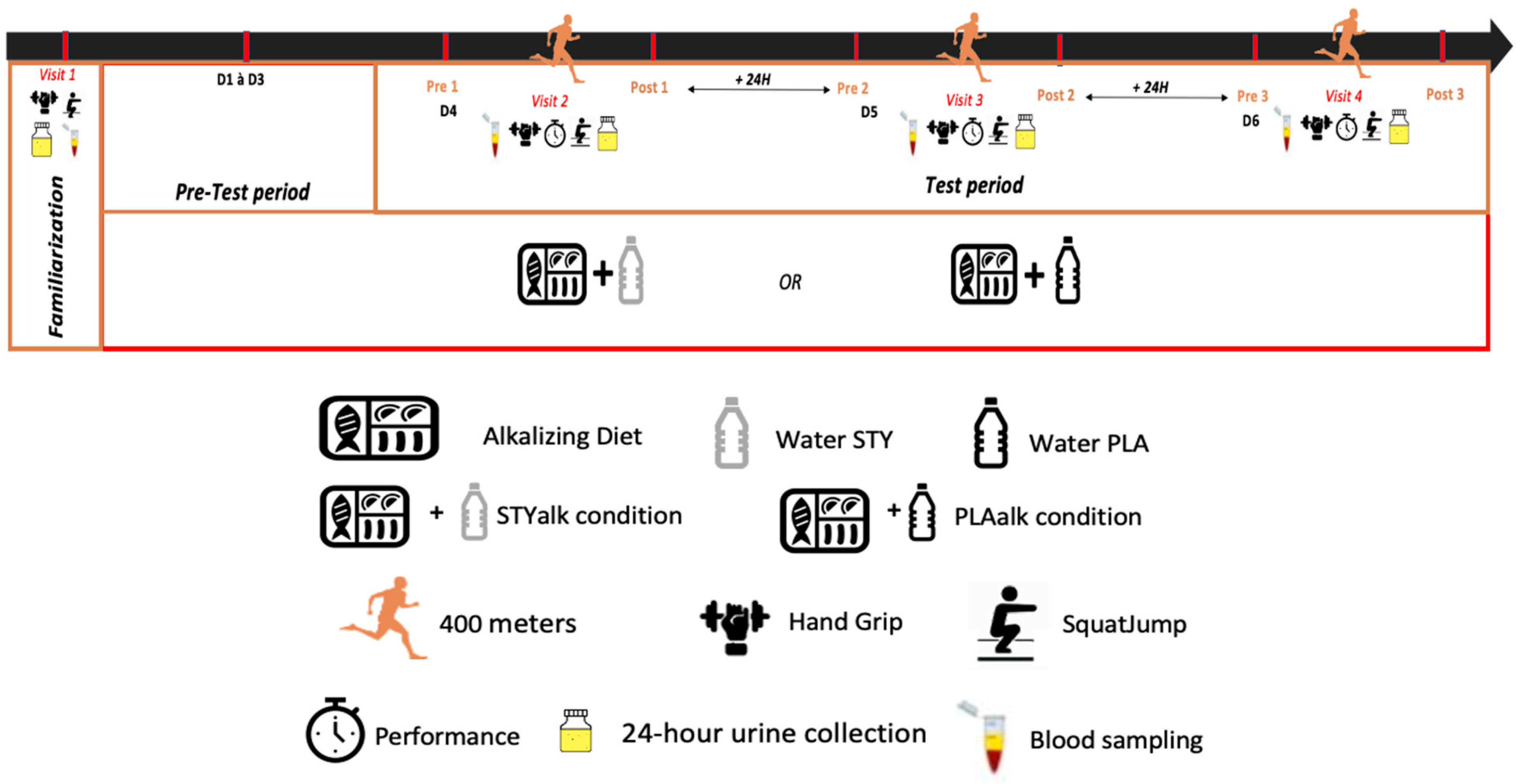 Nutrients 16 01987 g001