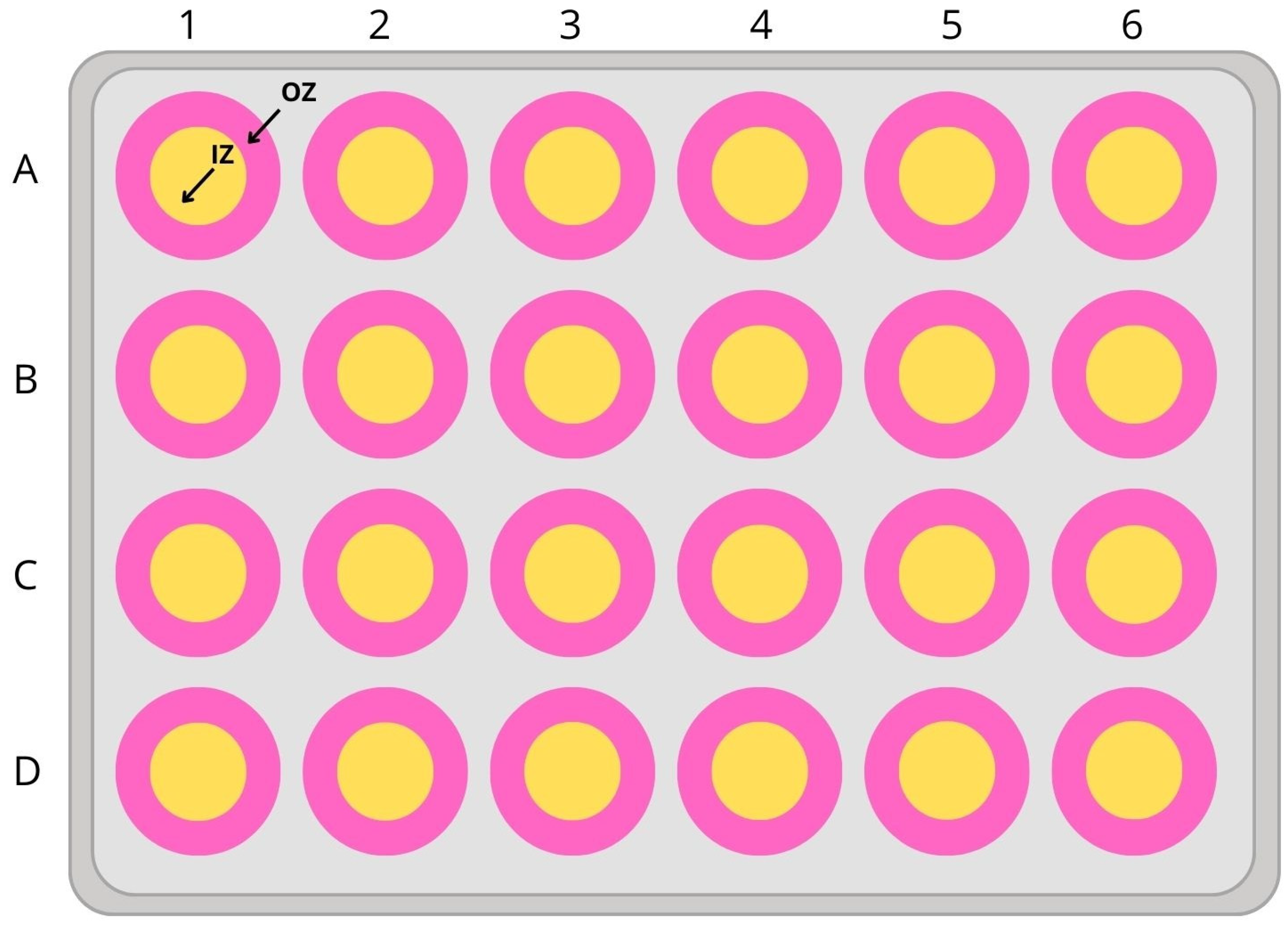 Nutrients 16 01997 g002 Nutrients 16 01997 g002